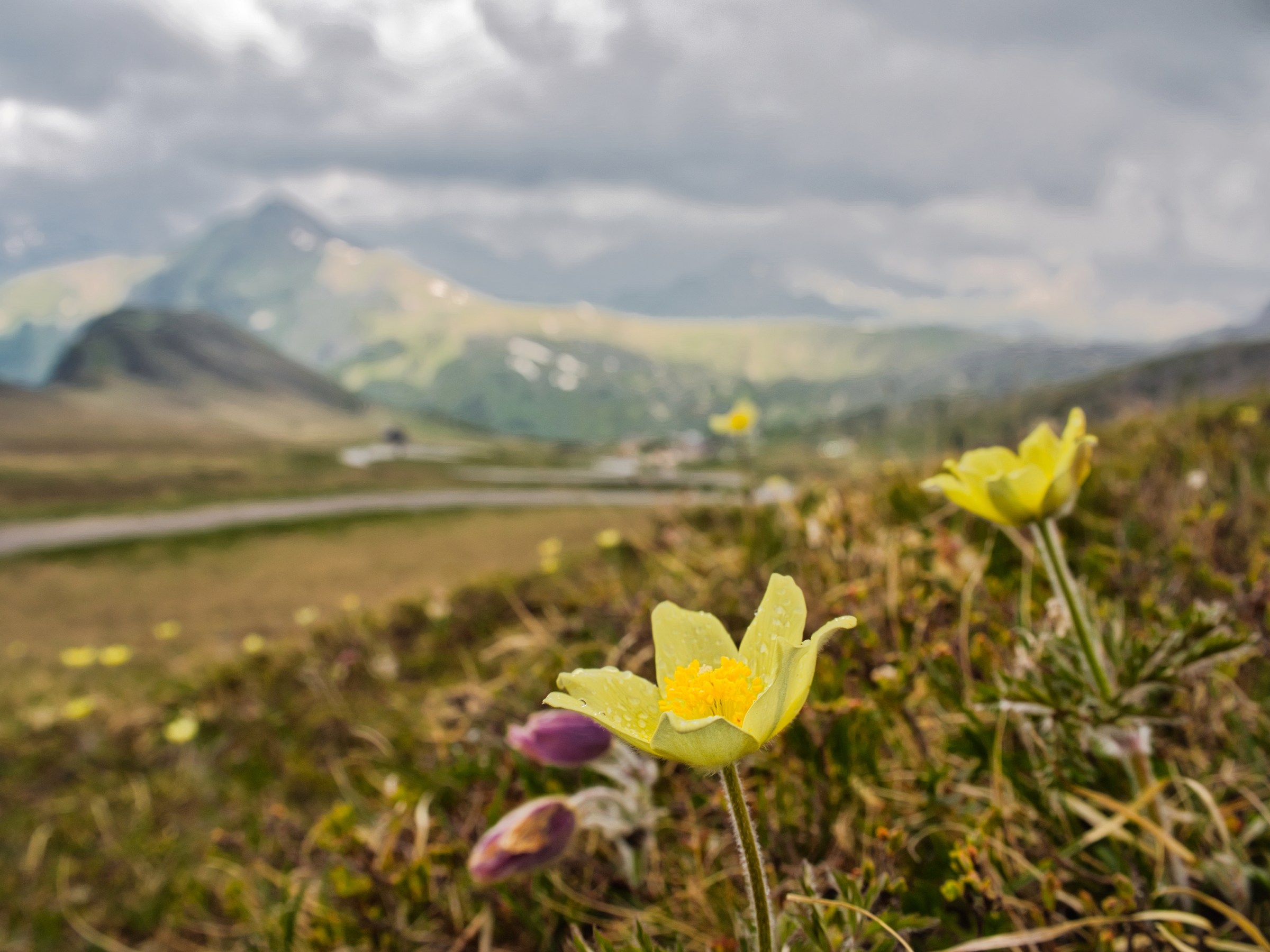 And in the distance the Col di Lana