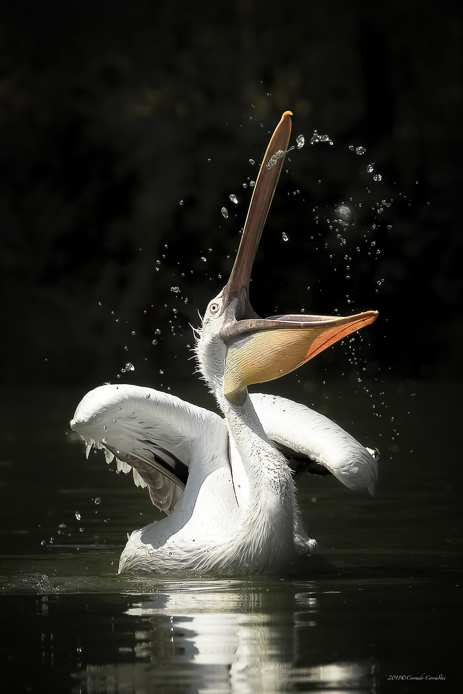 Only is cheerful who can give!