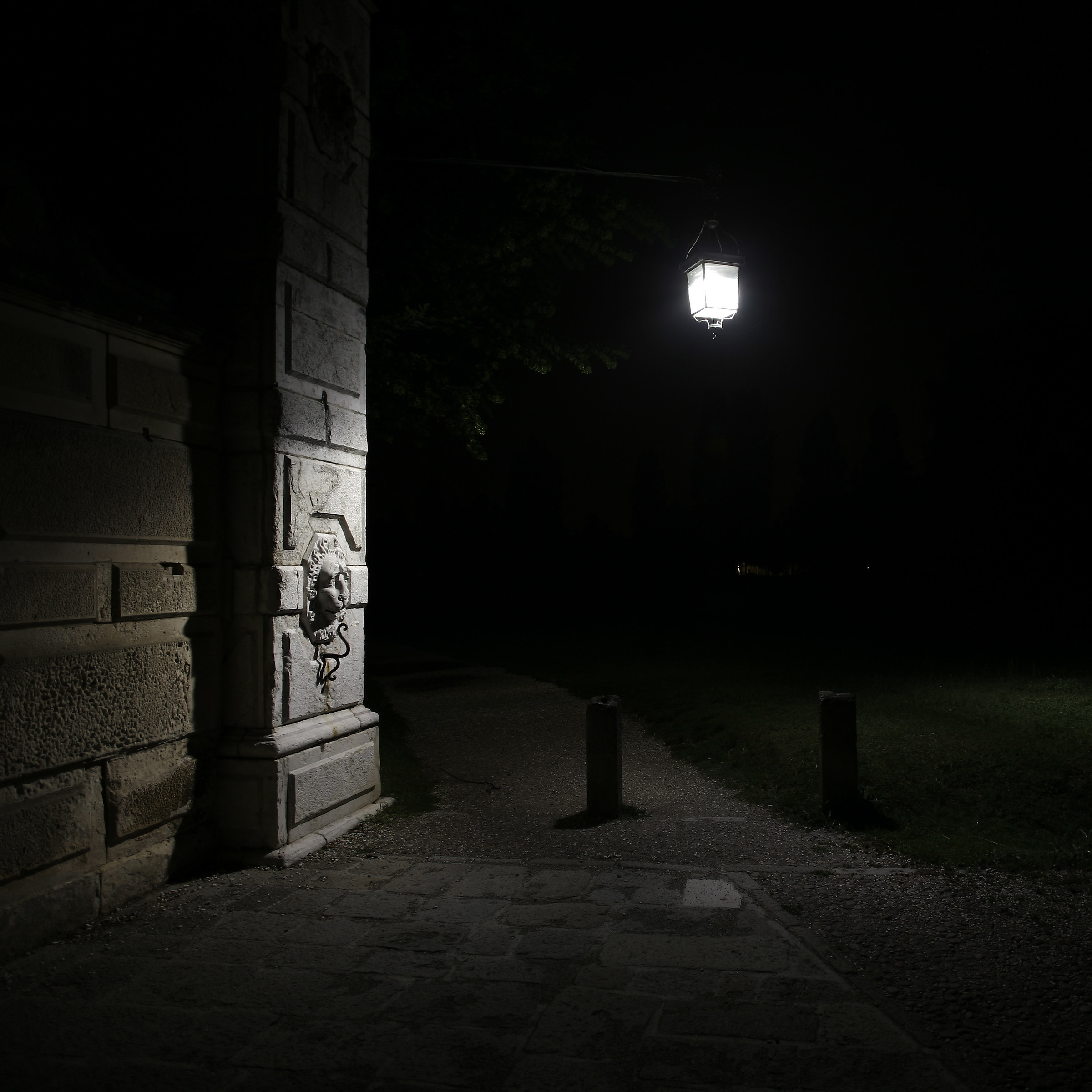 Real estate Lion in the night