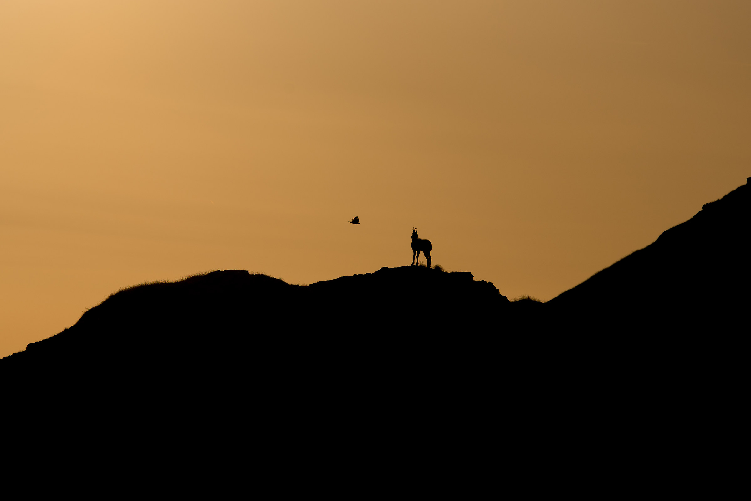 L'alba sul Gran Sasso