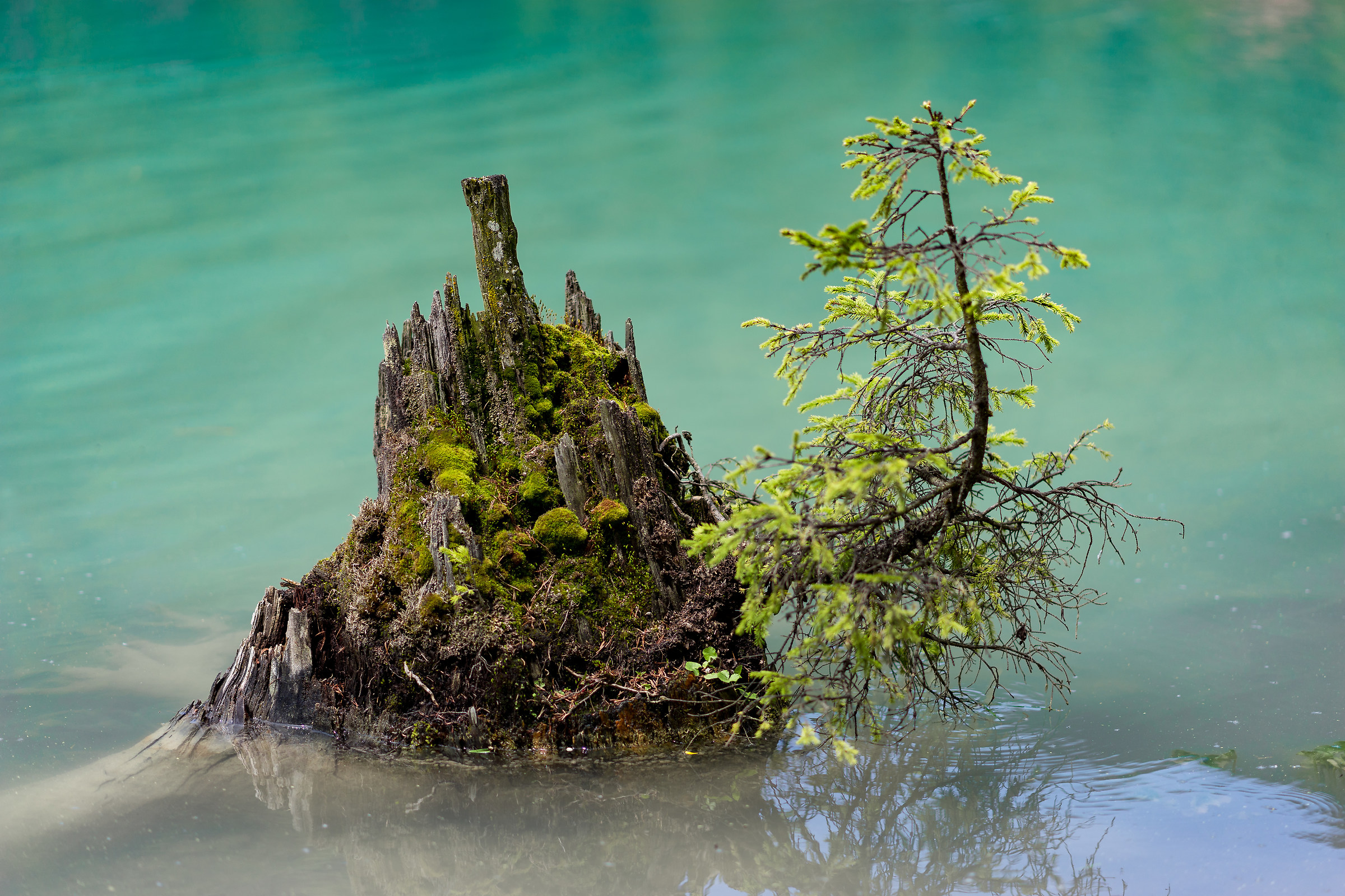 ... dalla morte alla vita ...