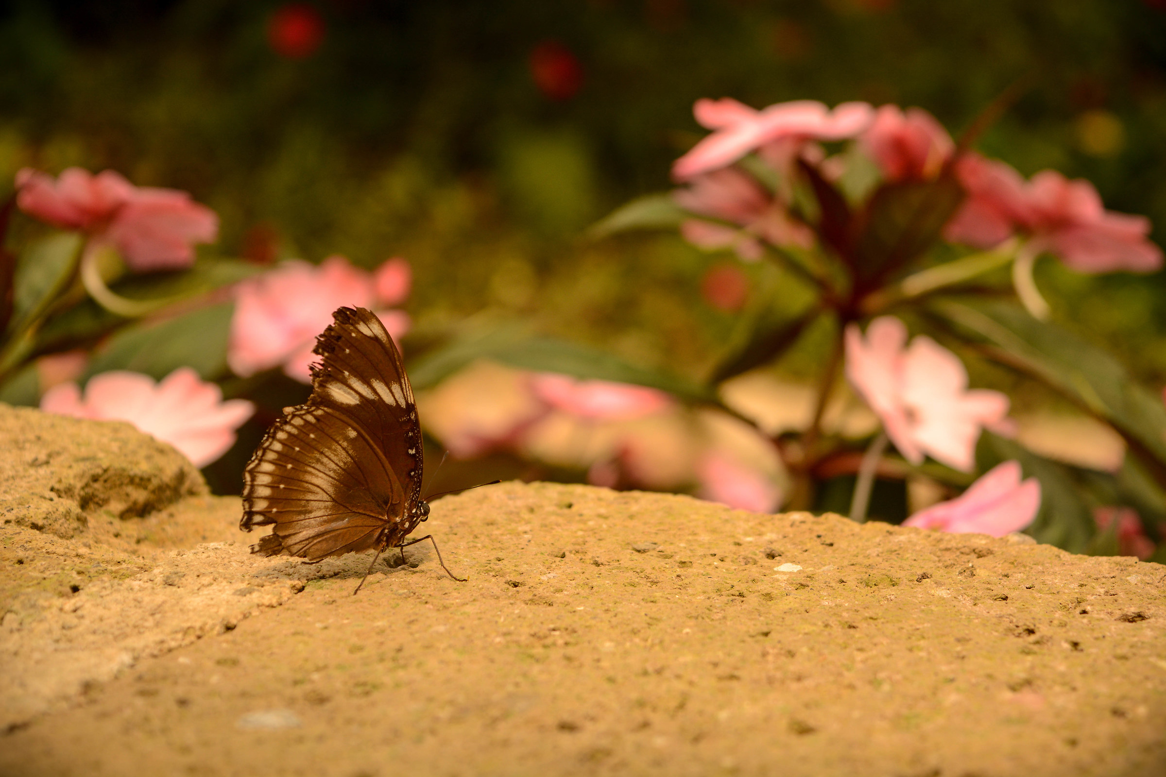 The serenity of a moment