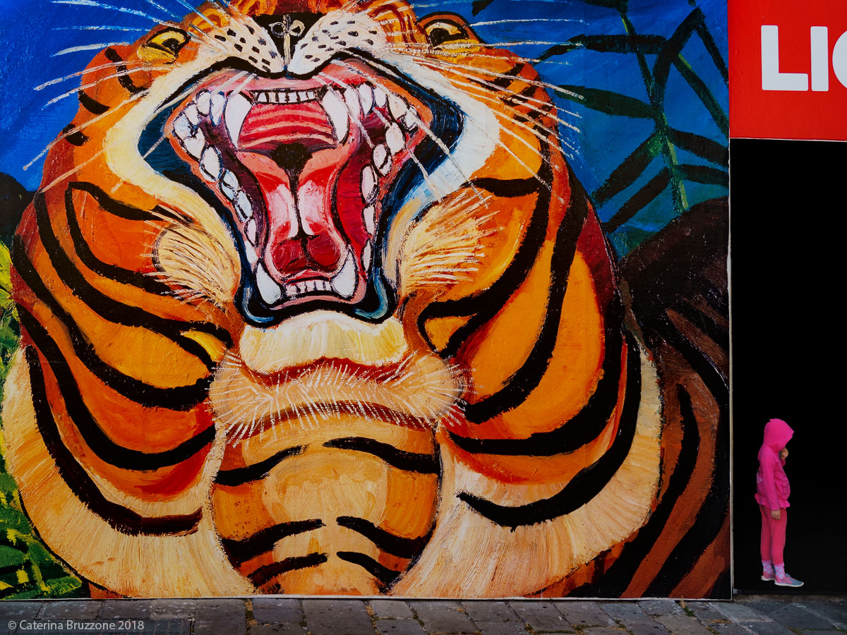 Cappucetto Rosa e la Tigre