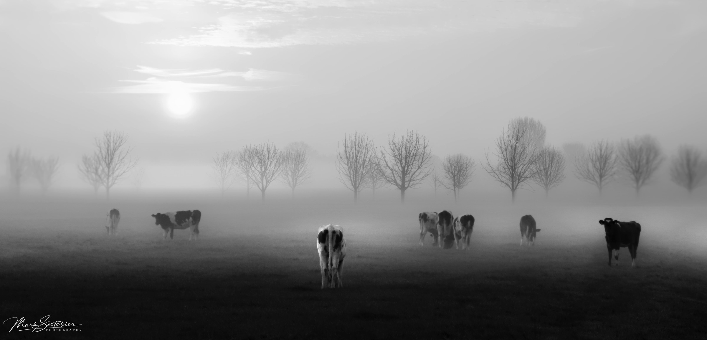 Atom Heart Mother - Noord Holland