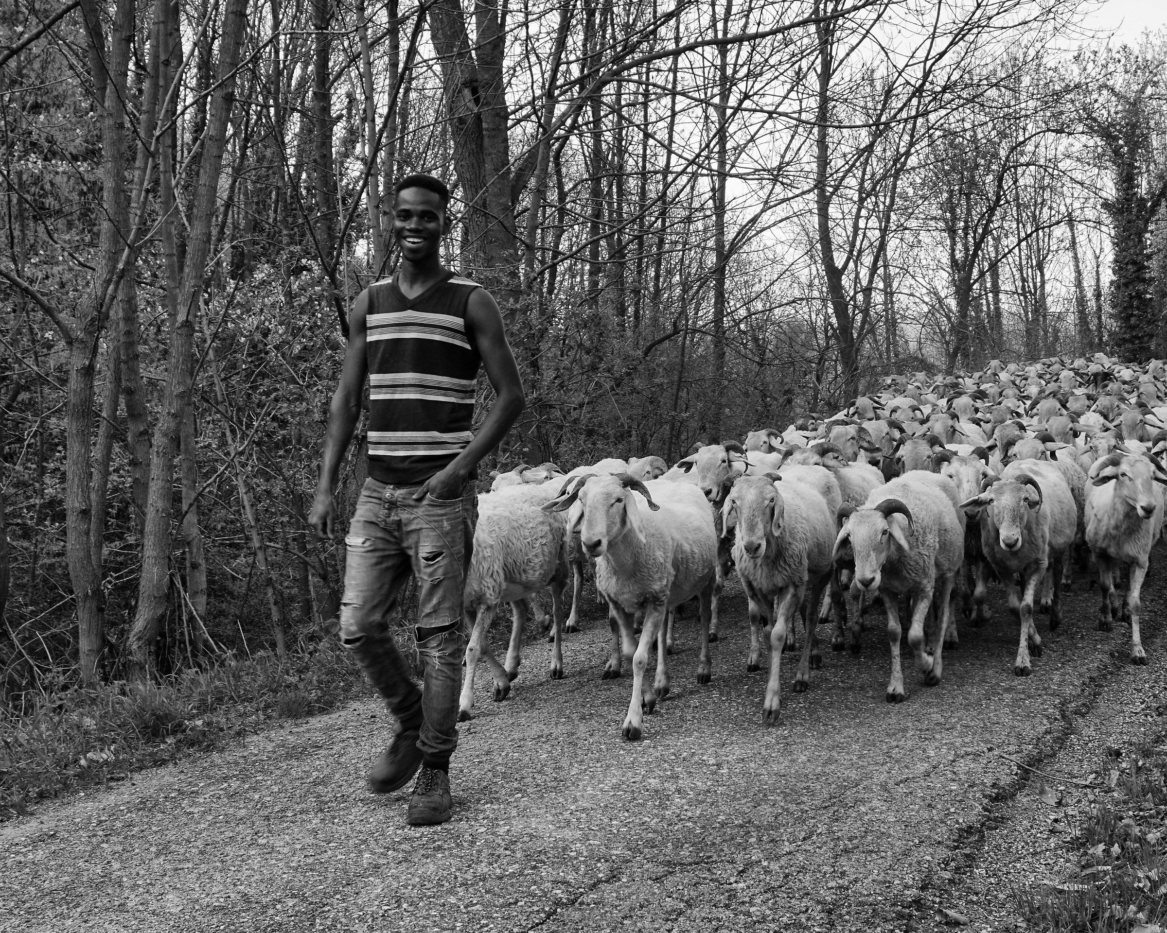 Il simpatico pastore b/n