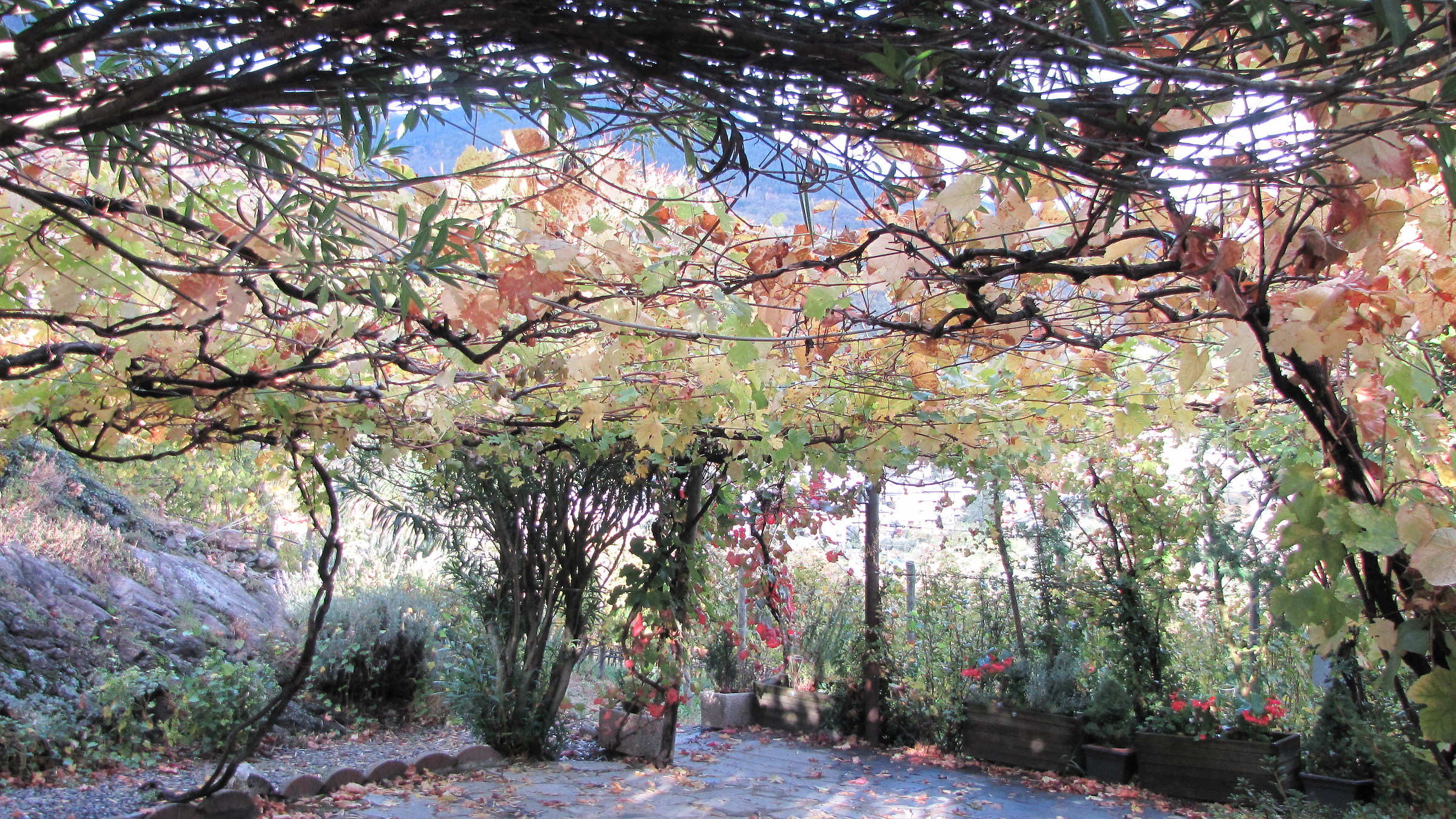 avvisaglie autunnali