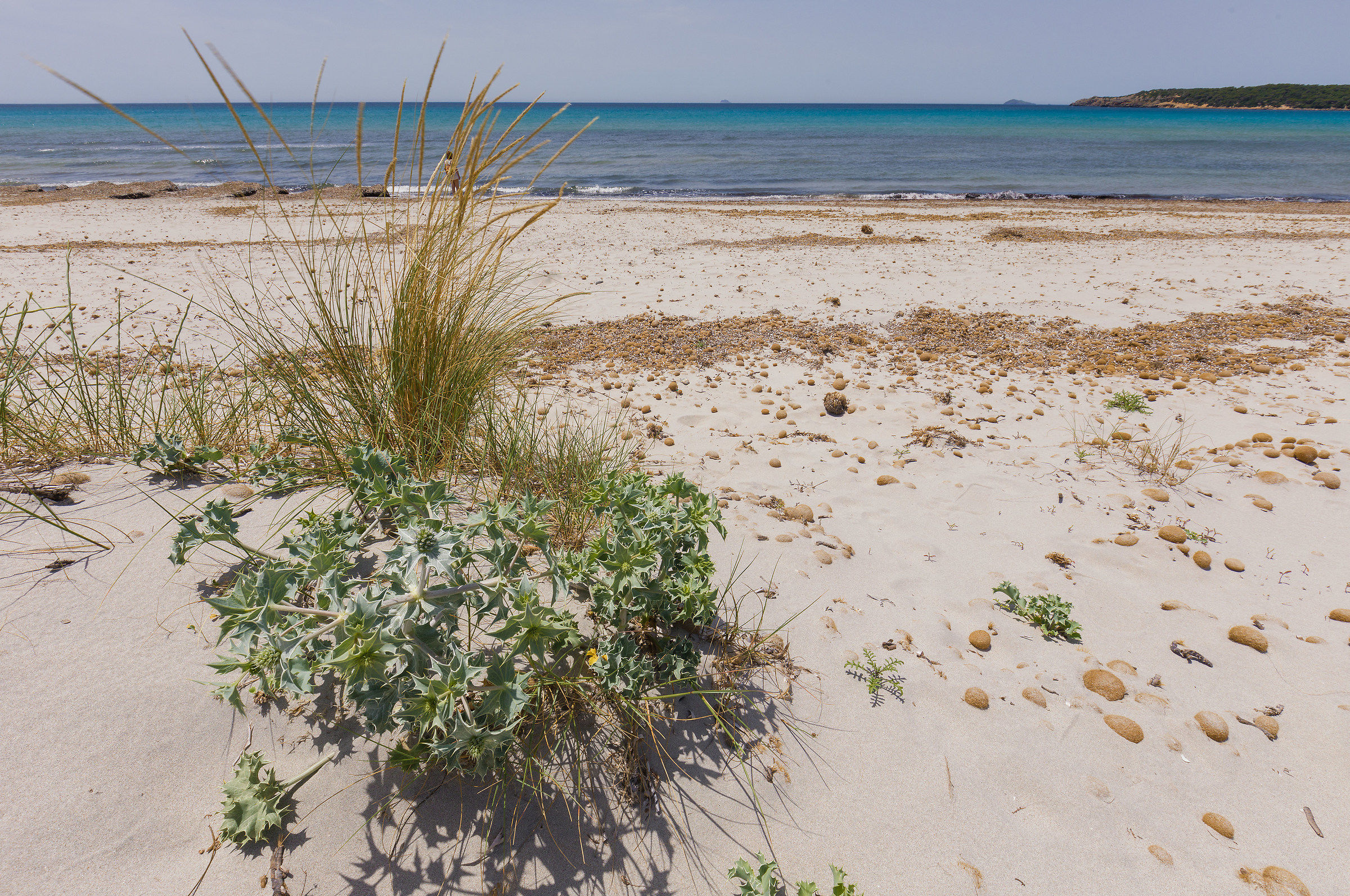 The dunes of Porto Pino