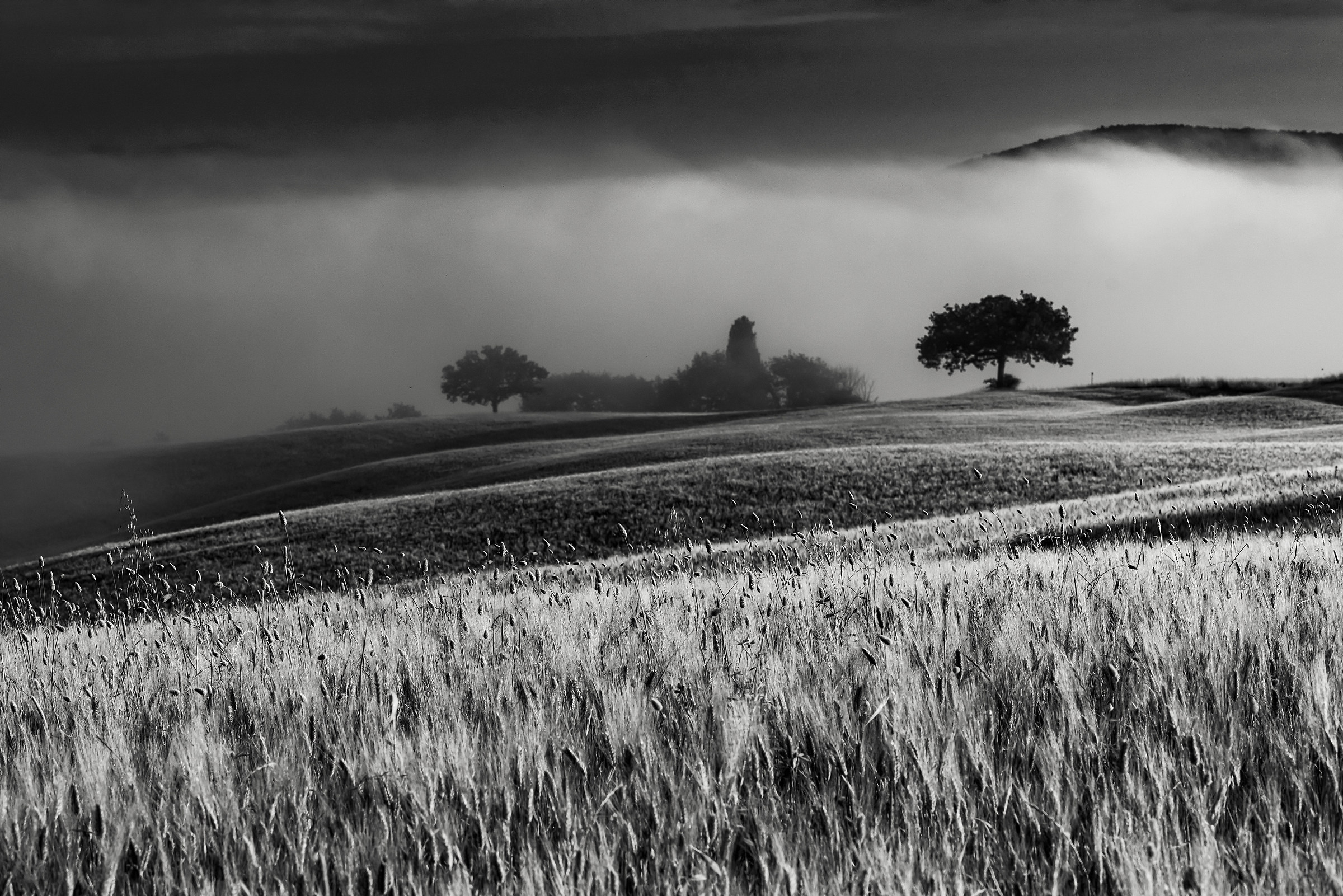 ricordando il gladiatore