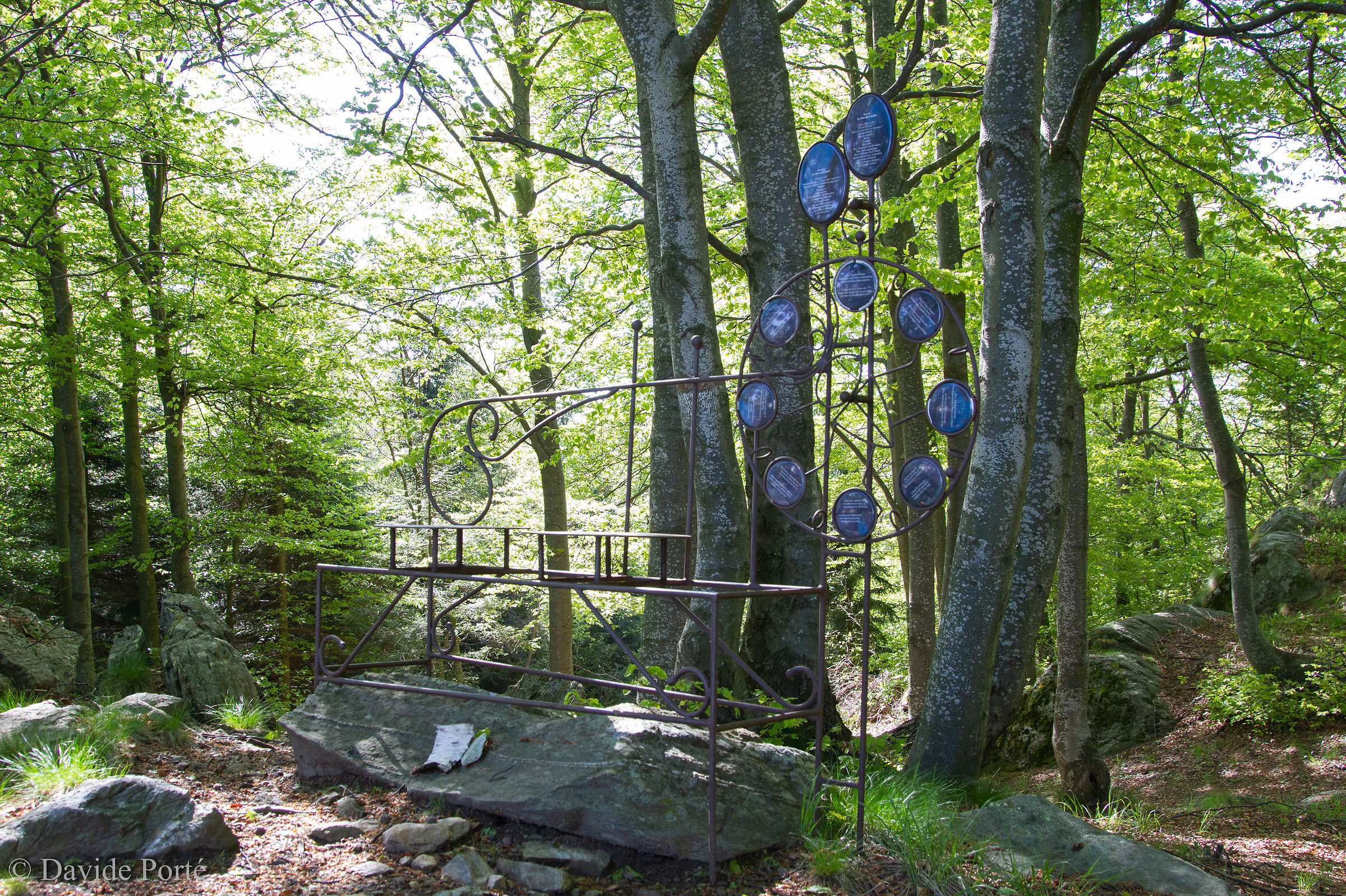 Art in the Woods