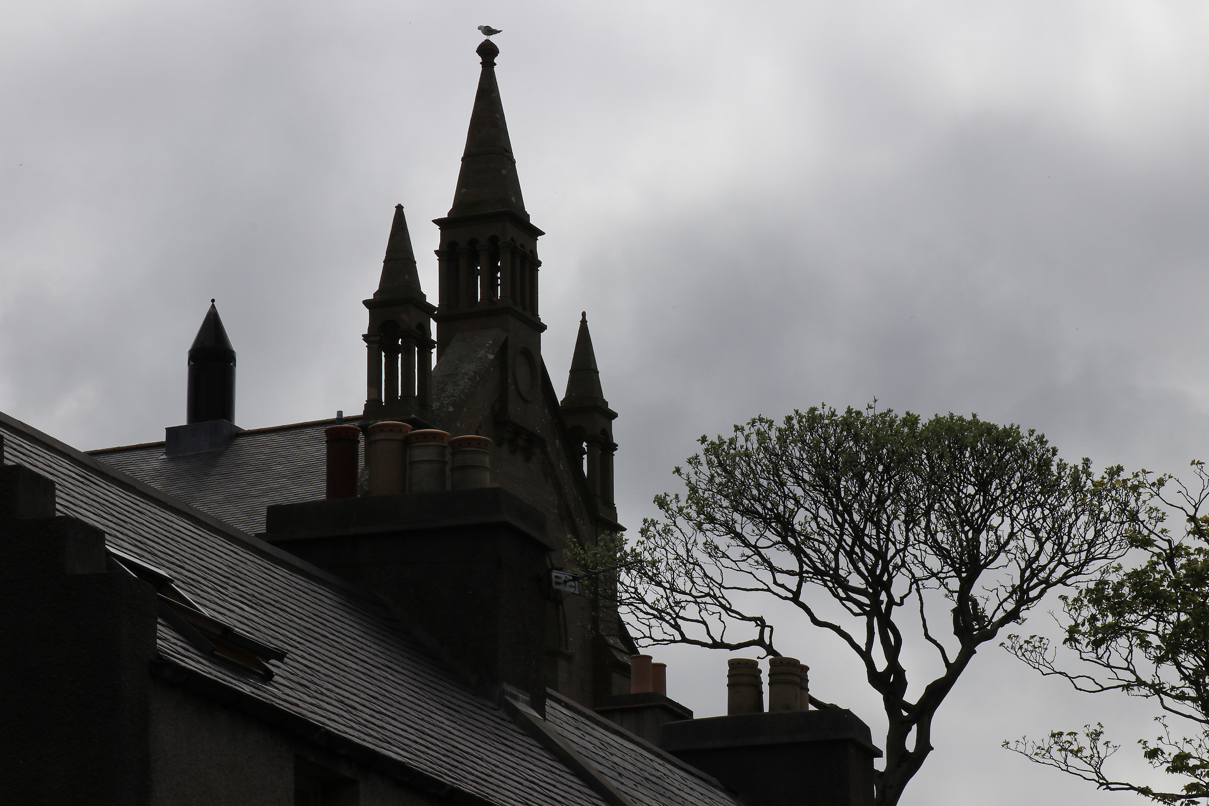 Scotland Orkney Islands