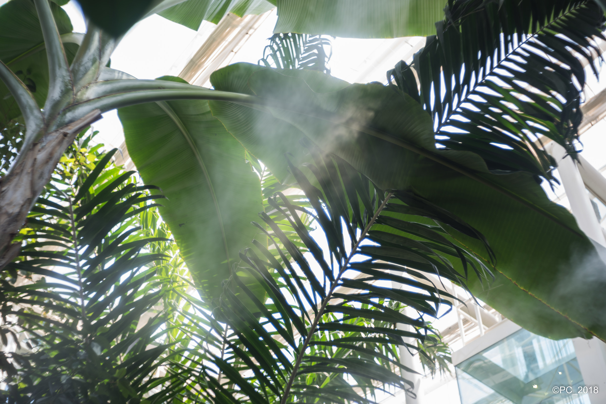 Padova - Orto Botanico 014