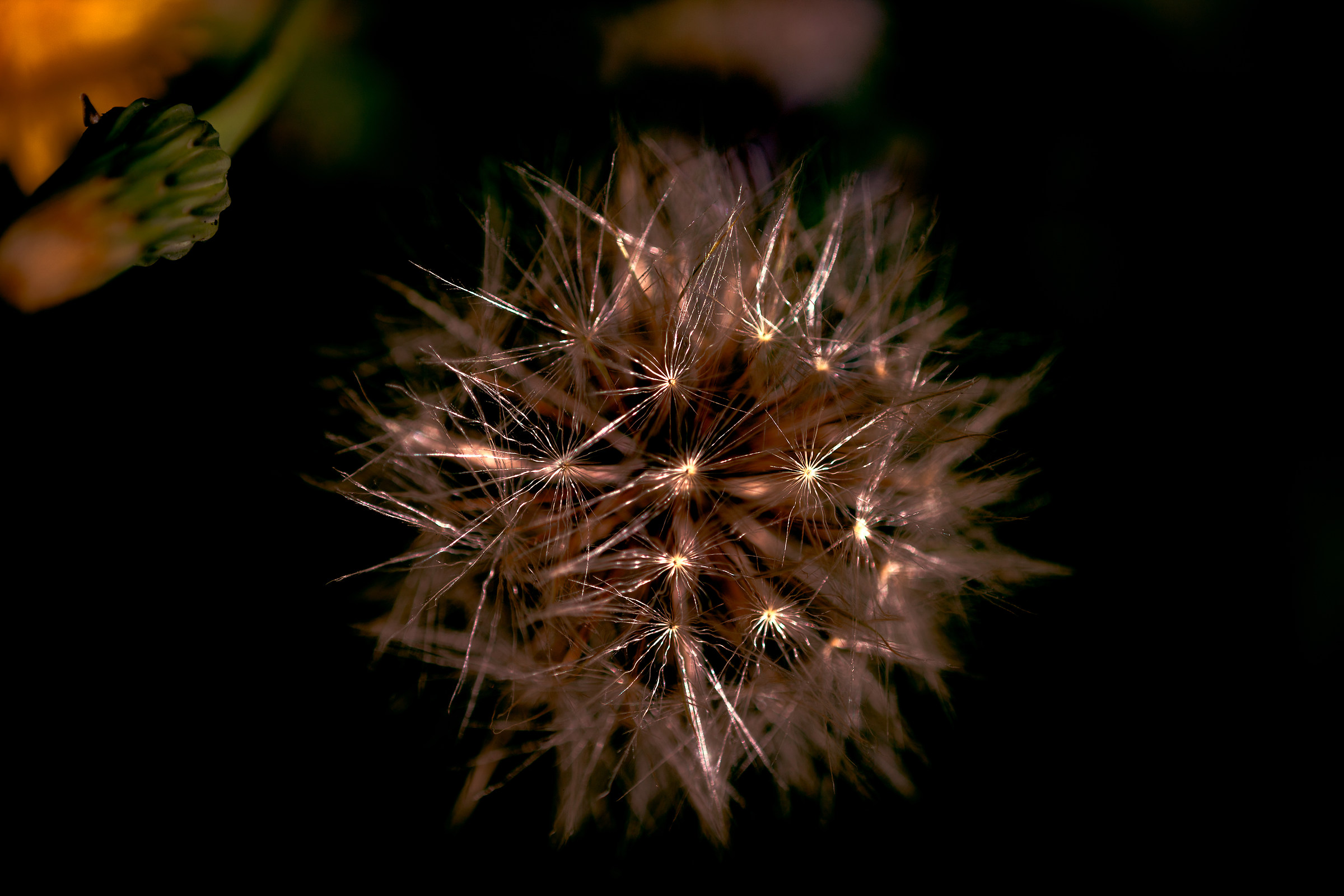 Alien Spaceship to Unknown world