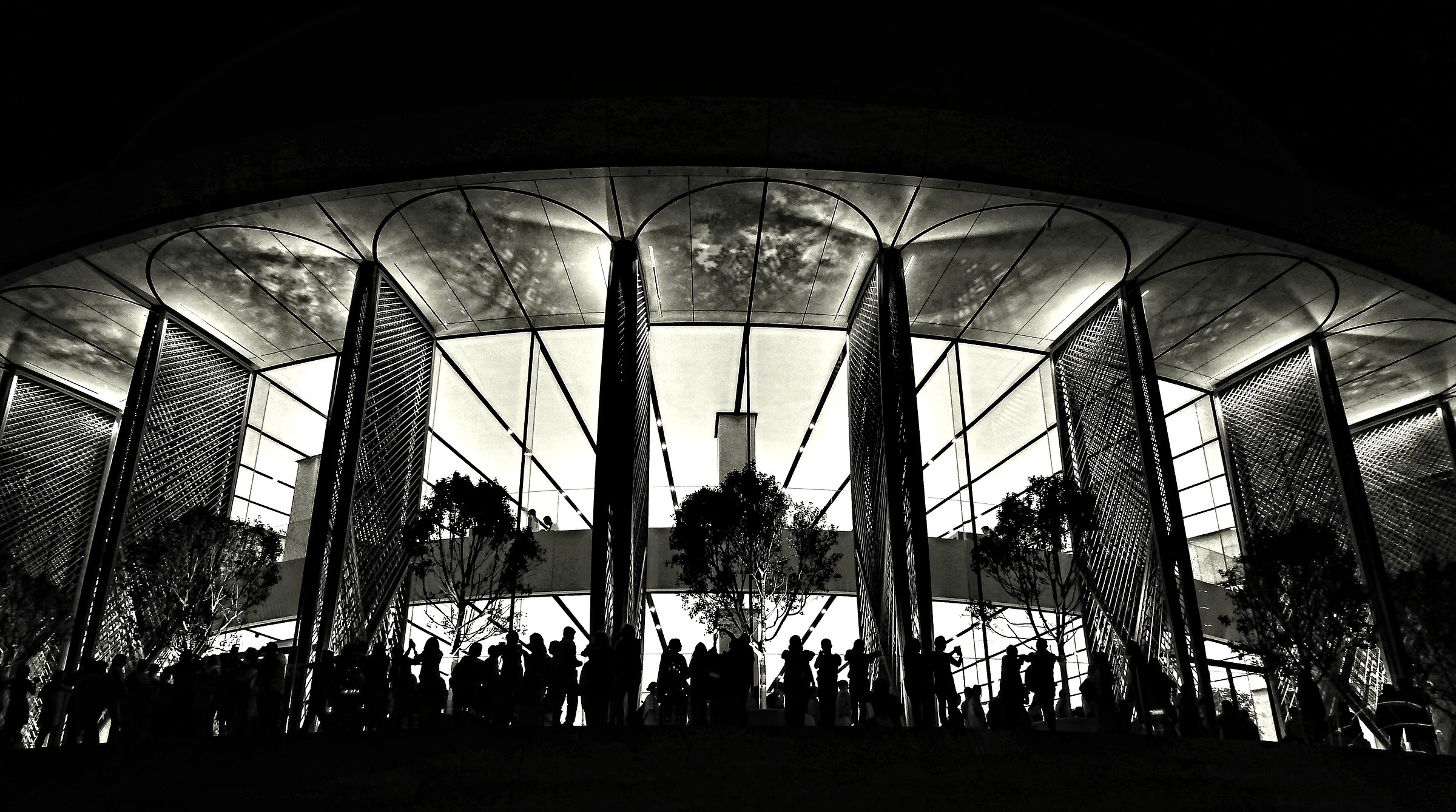 On the rooftop terrace, waiting for... (Bn. 2)