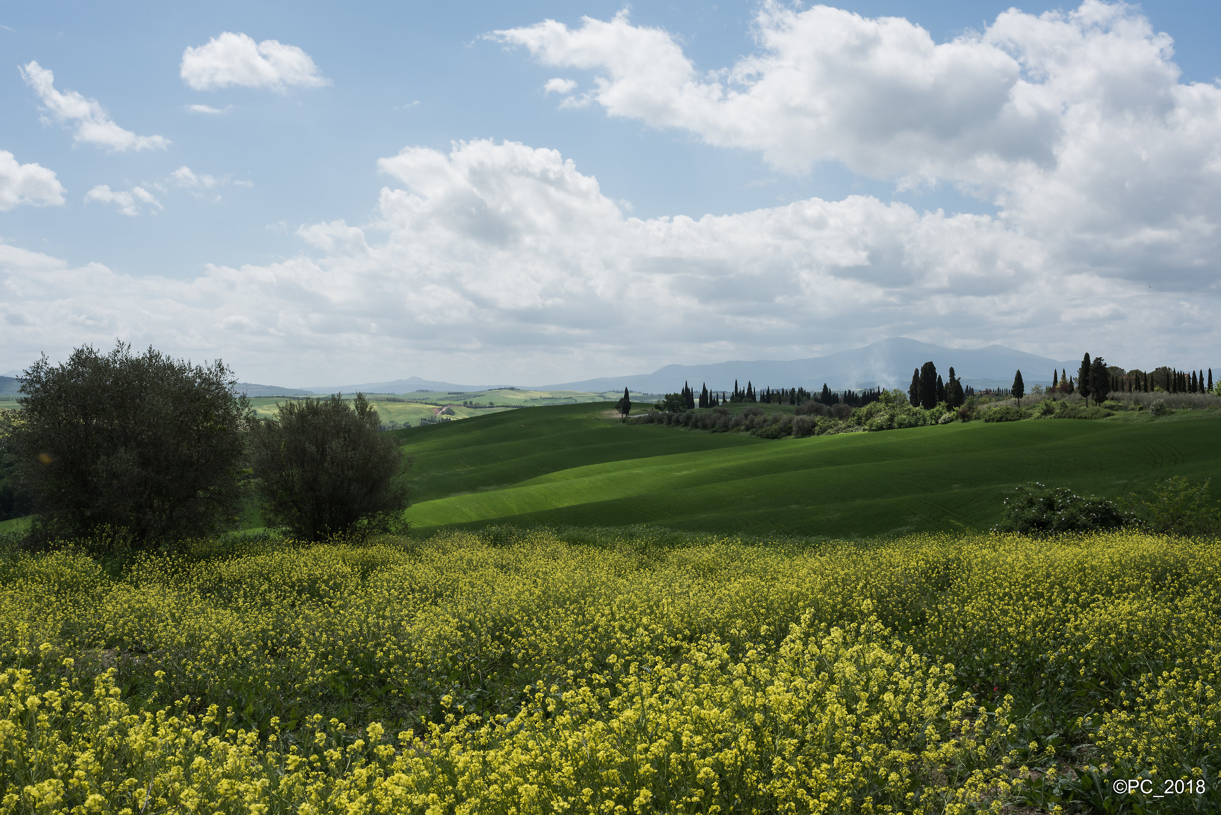 Val d'Orcia 017