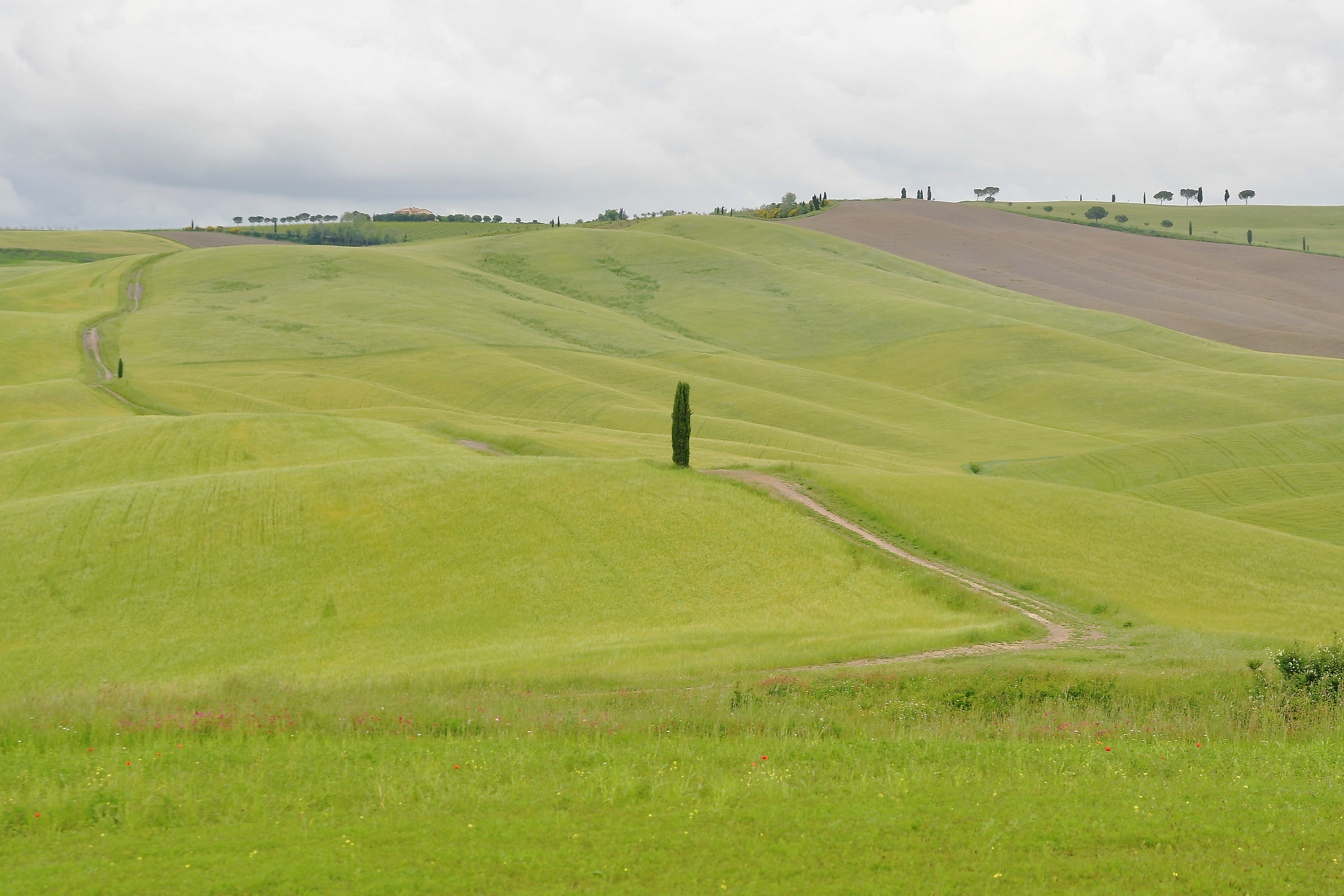 val d'orcia