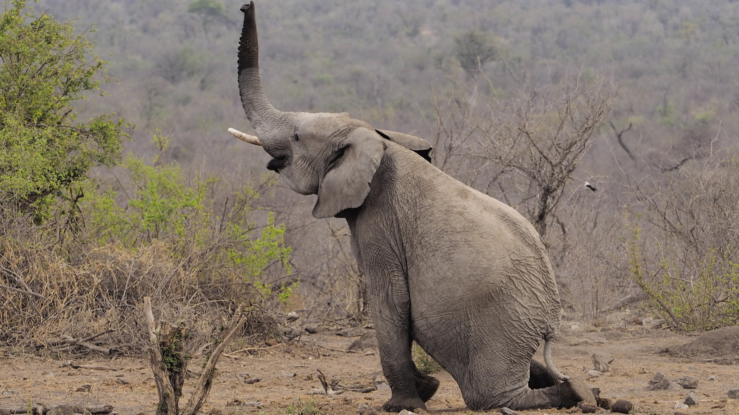 Touch the sky with a finger
