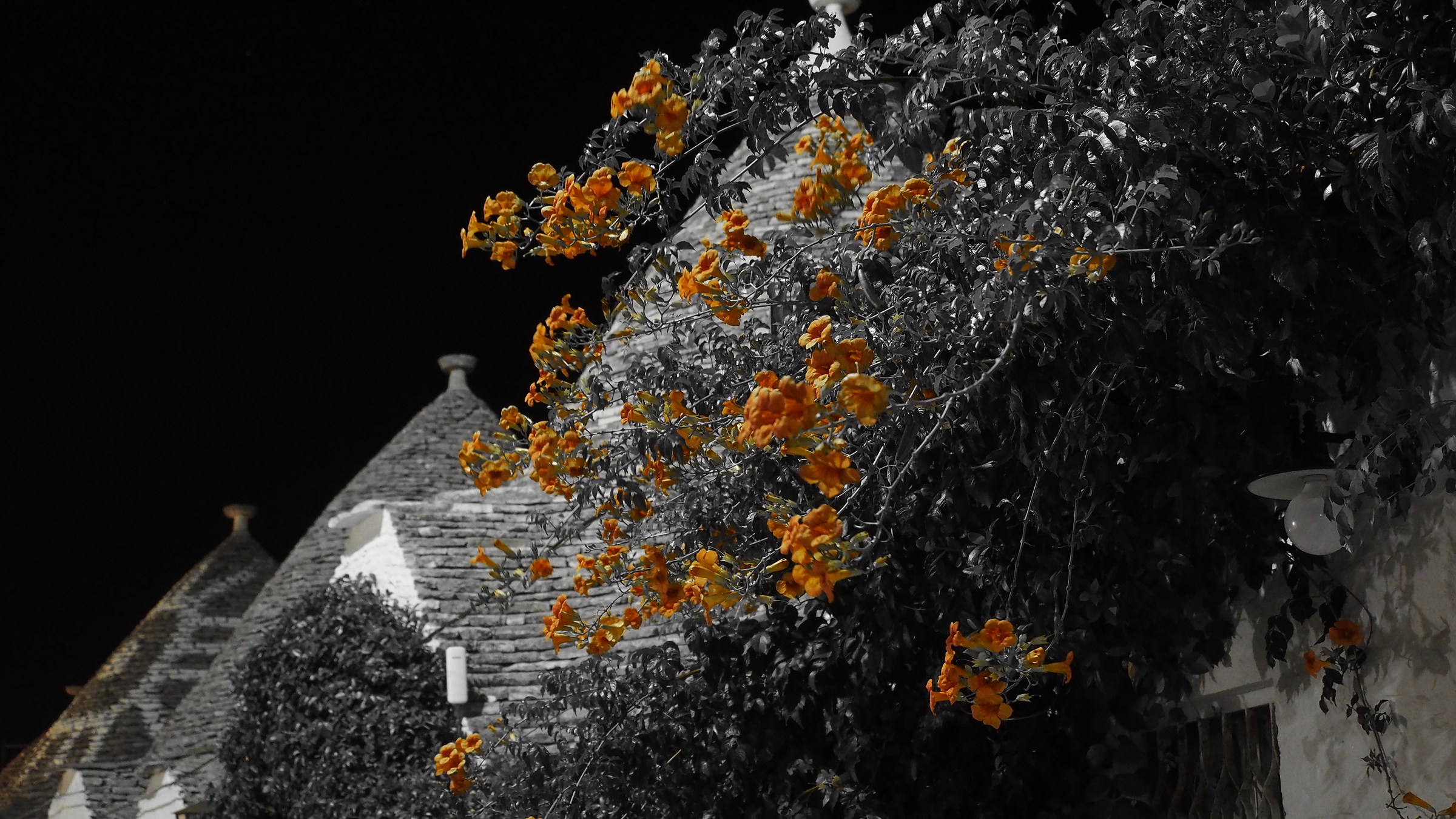 One color in the night