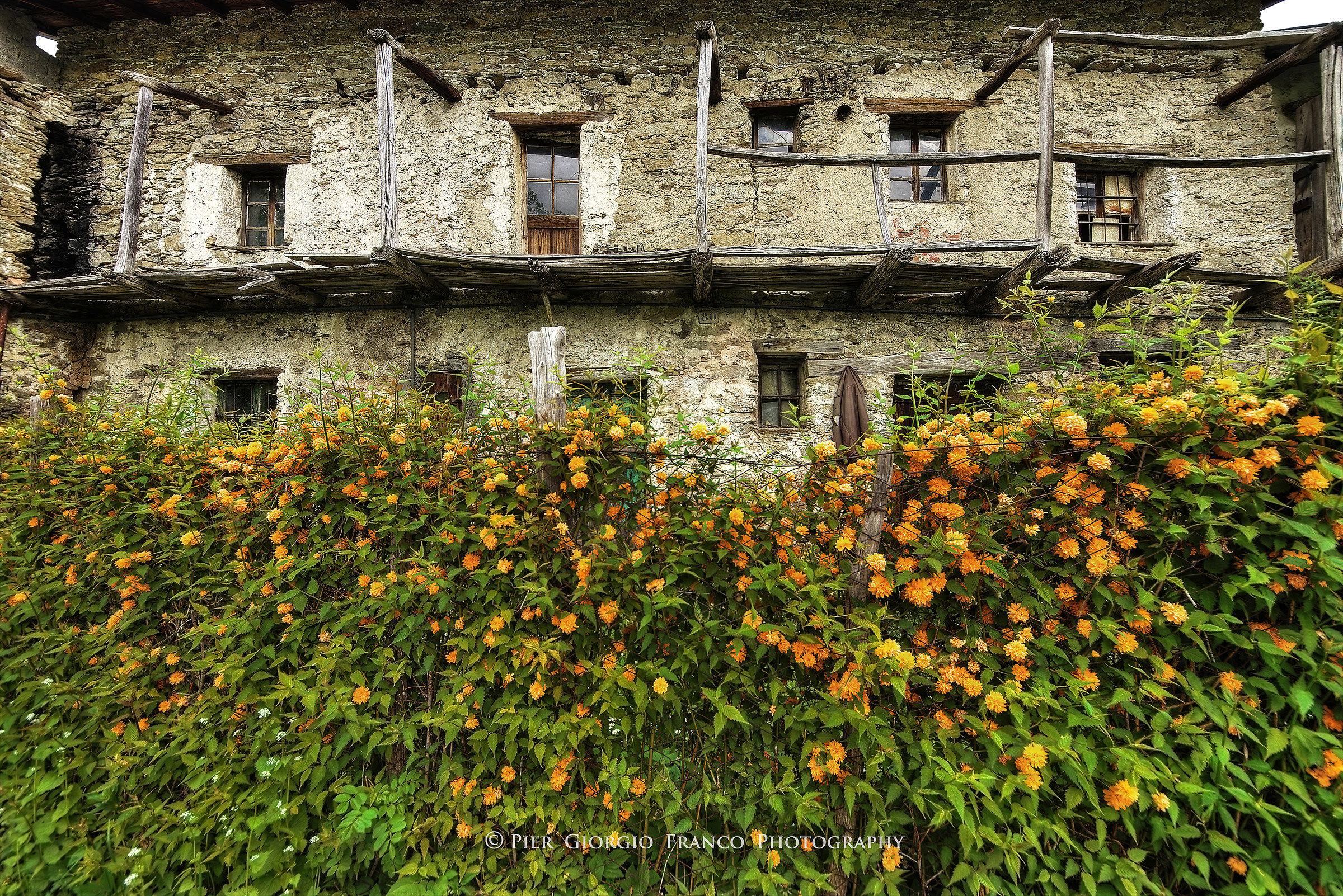 ..... but the flowers still blossom!