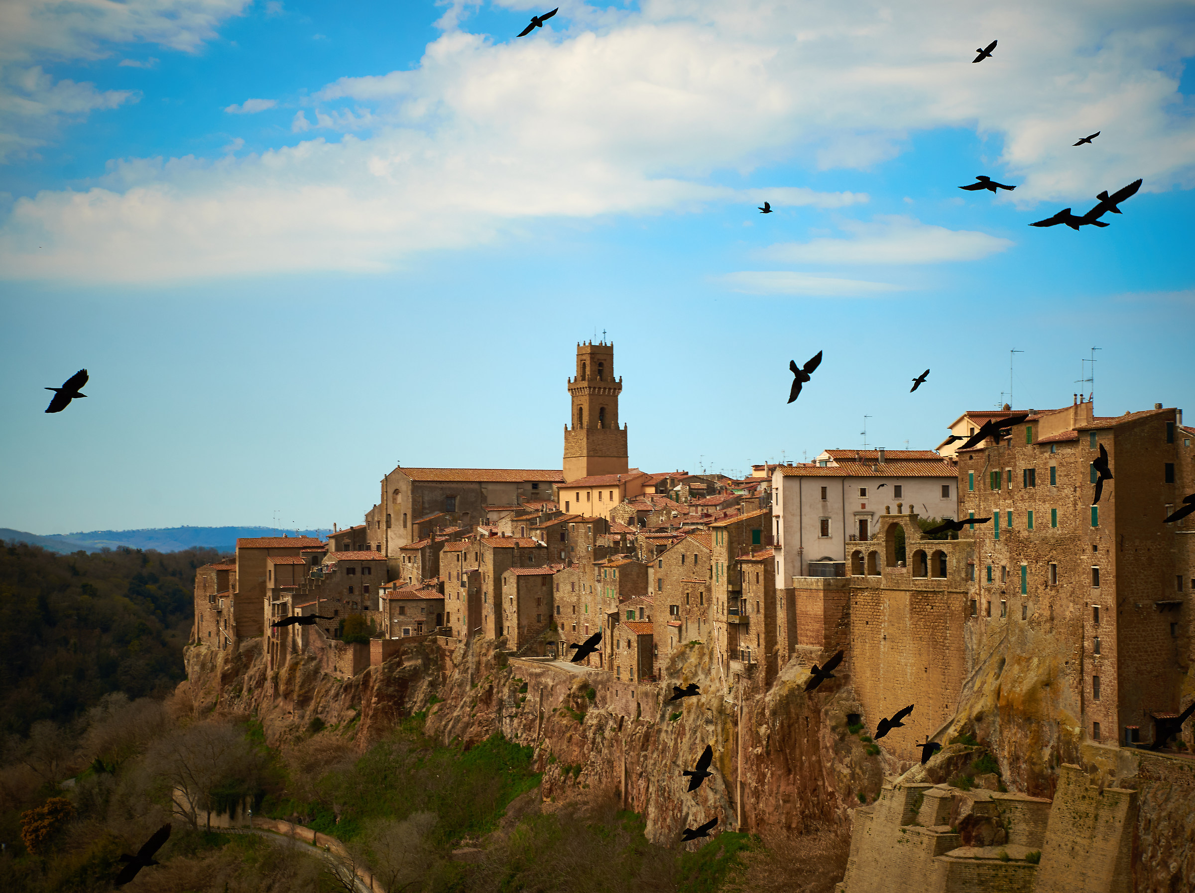 The Crows of Pitigliano