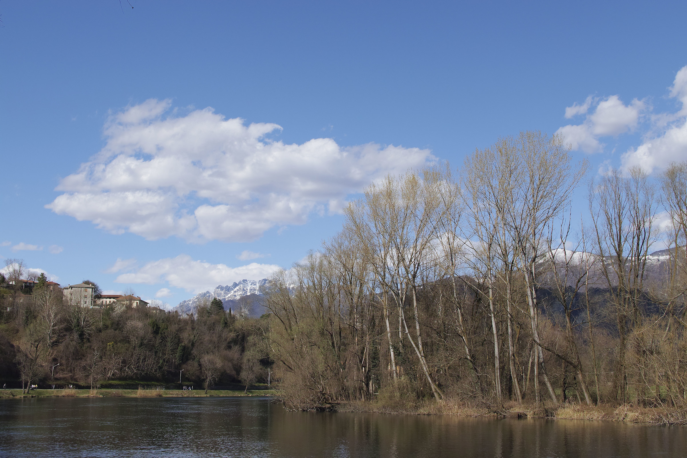 test Sigma SD Quattro #2