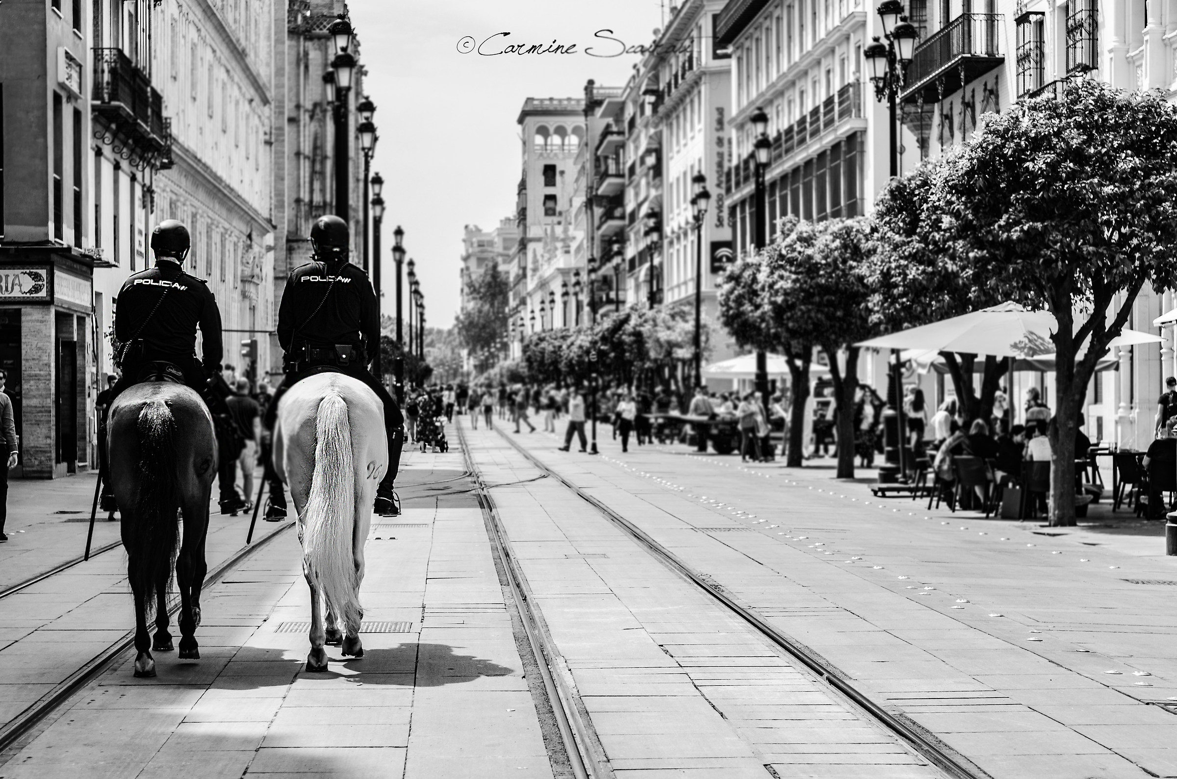 B&W Seville