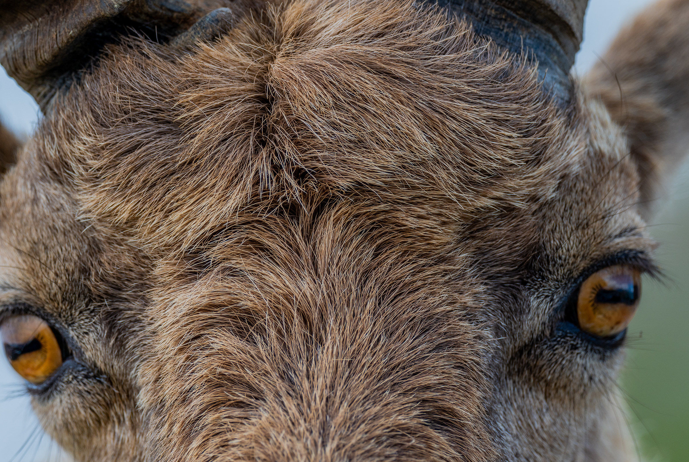 Questione di sguardi