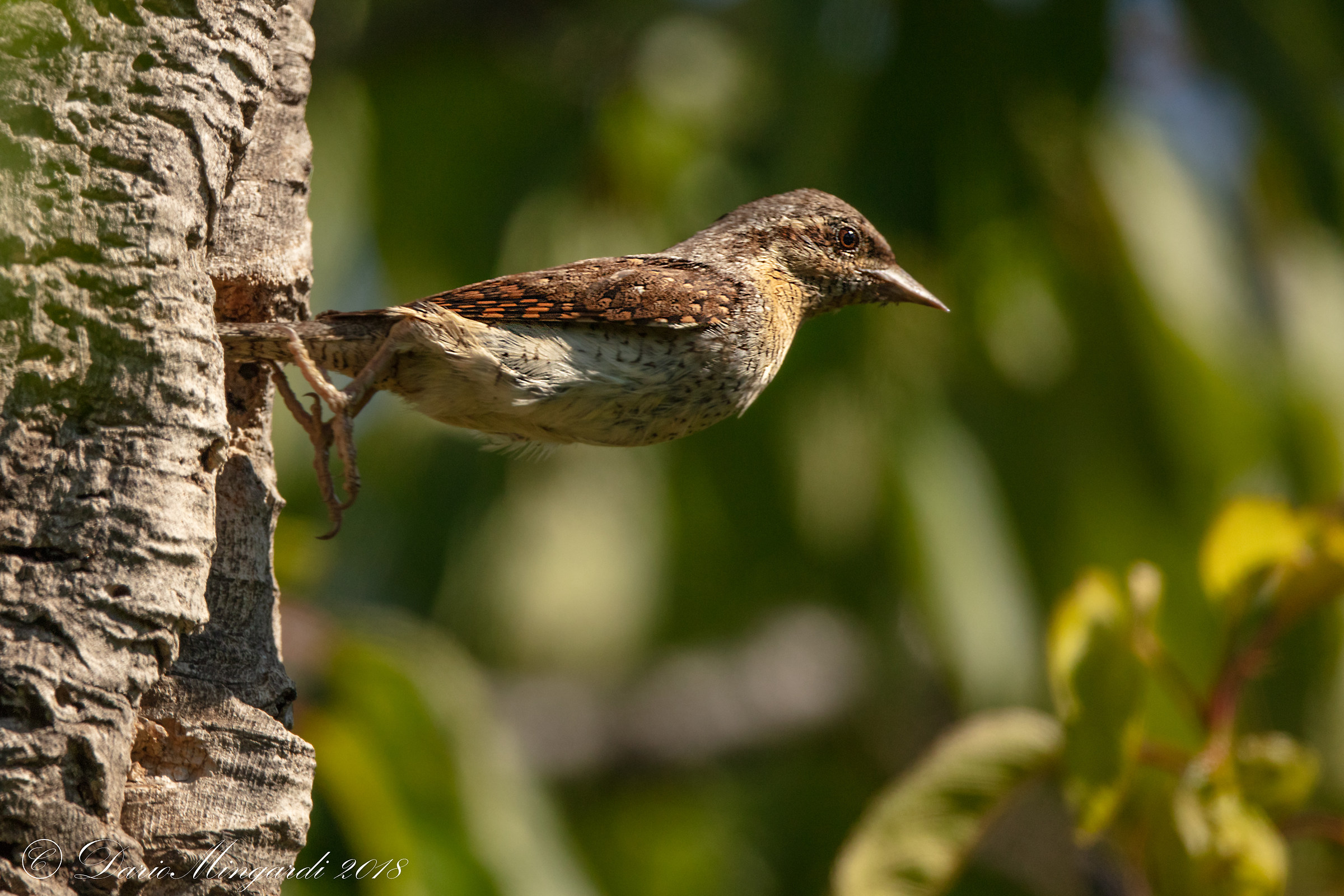 I'm going to get breakfast