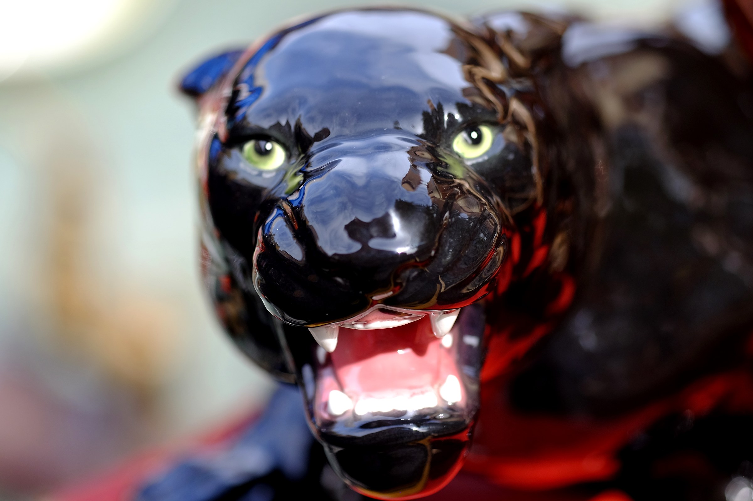 Black Panter
