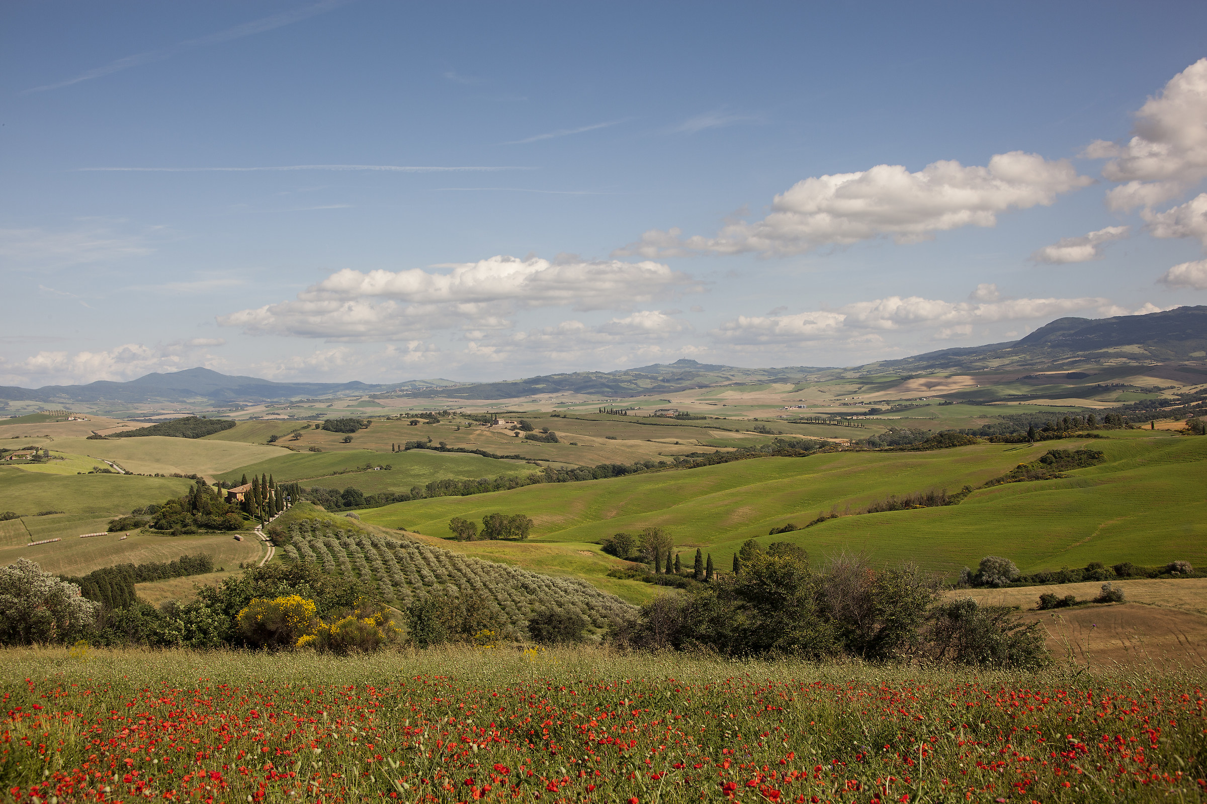 Podere Belvedere no alba/tramonto