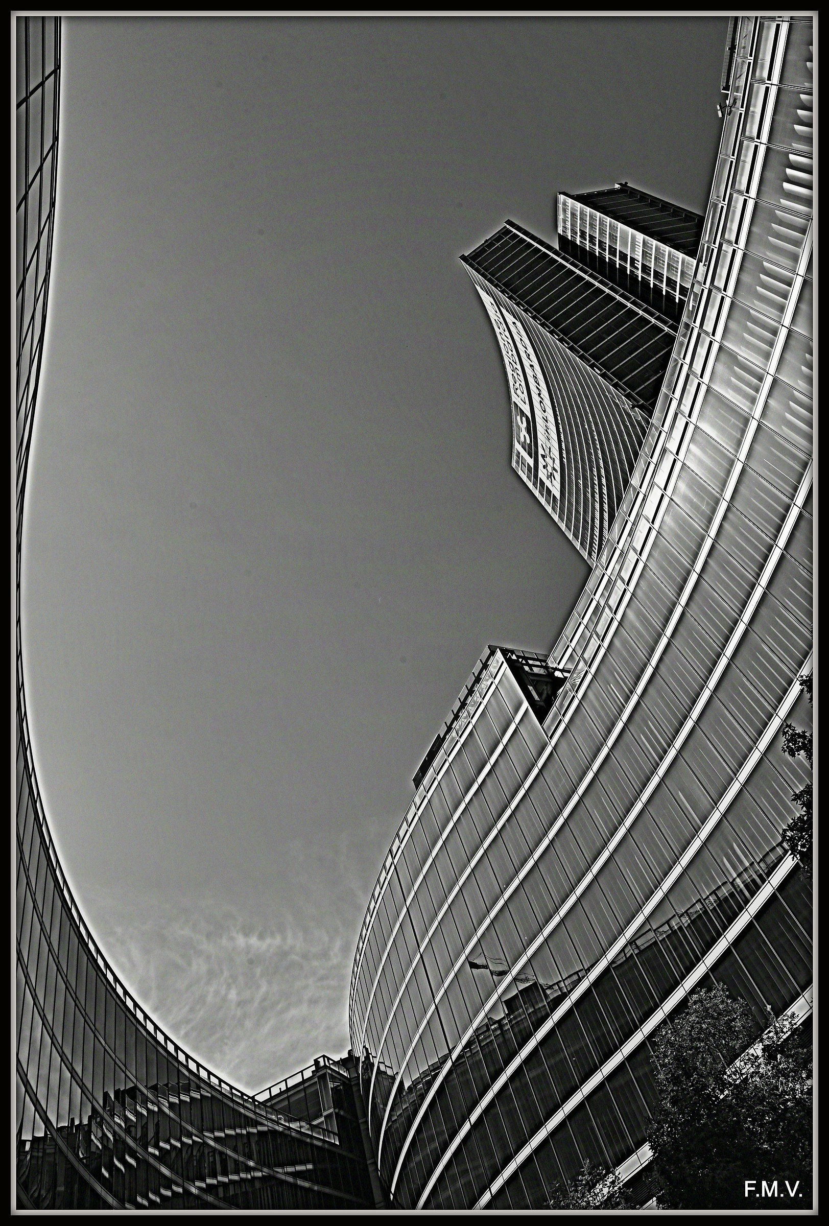 Converging divergences