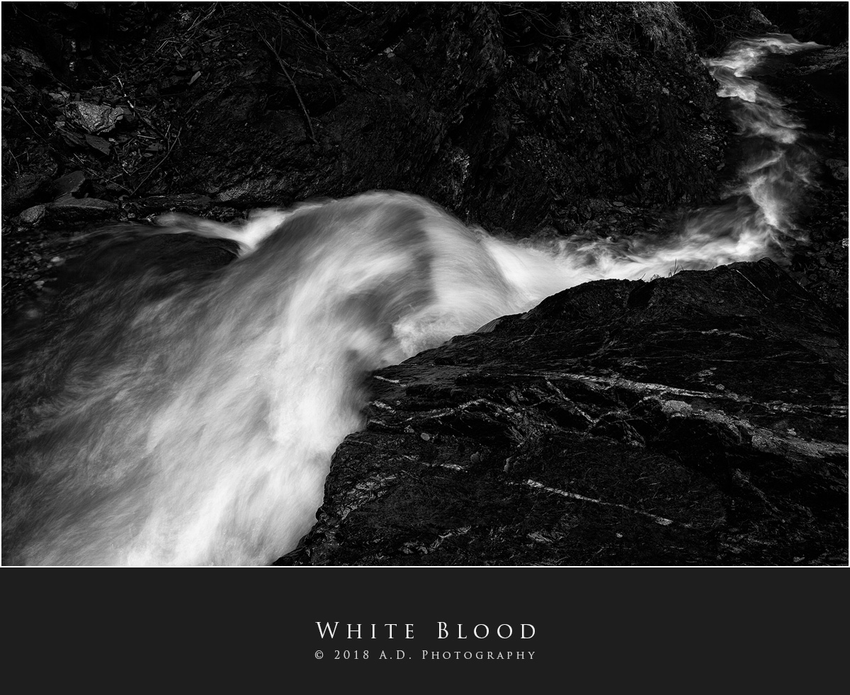 White Blood