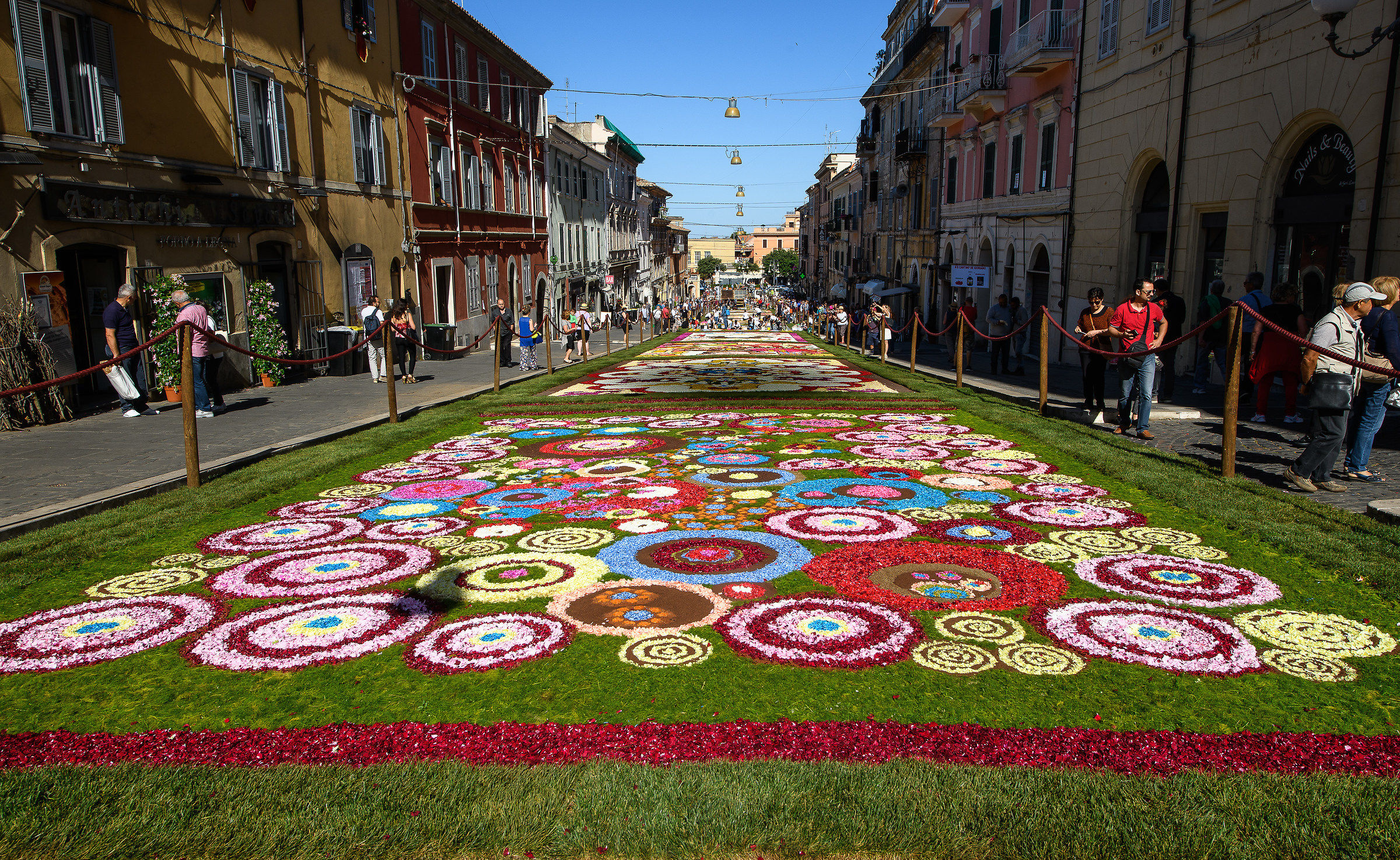 Gallagher of Rome 2018-The rite of the flowering