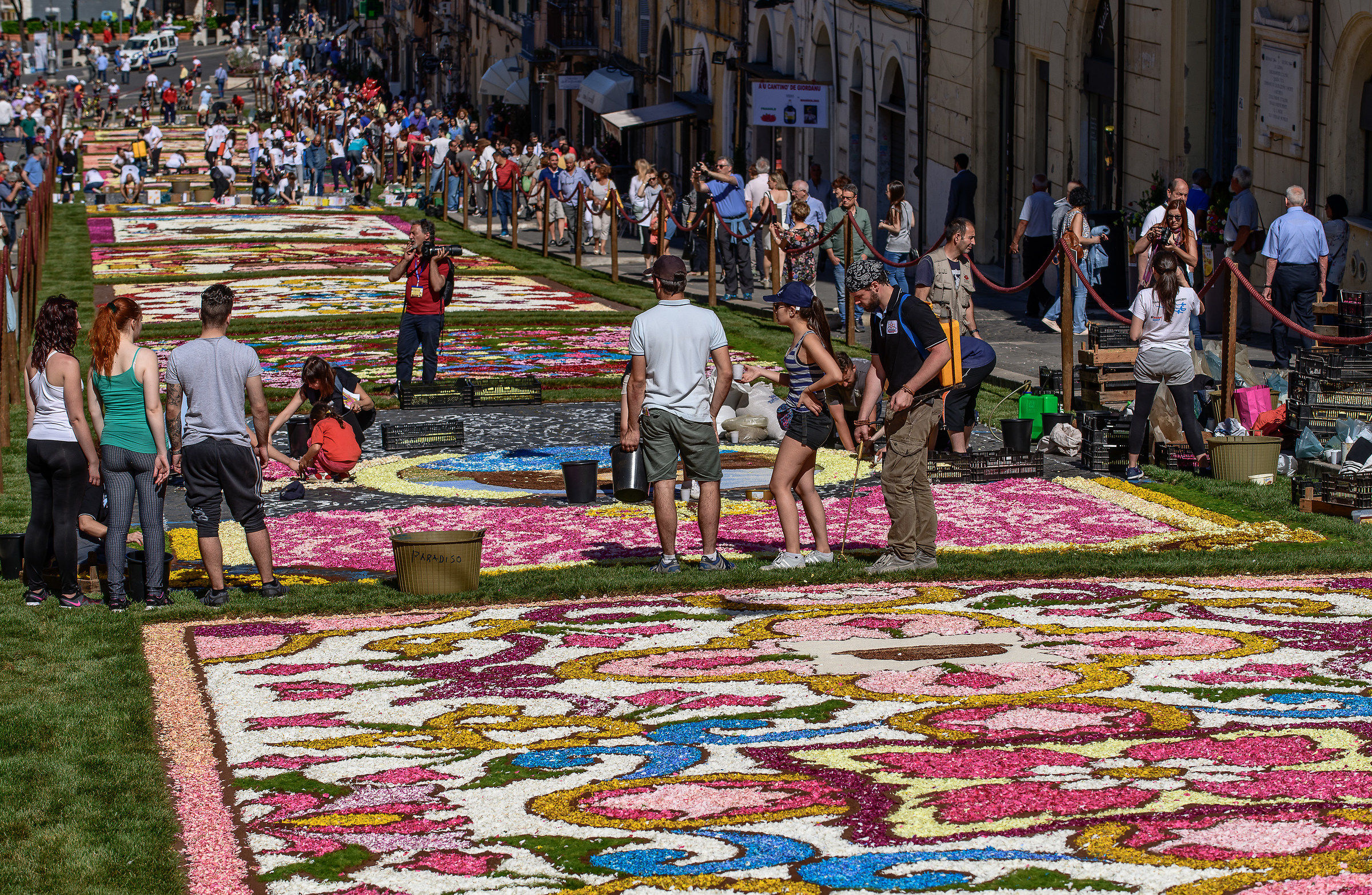 Gallagher of Rome 2018-The rite of the flowering