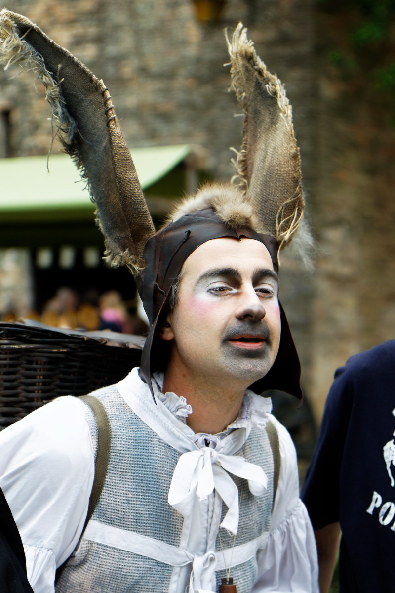 Il giullare di corte