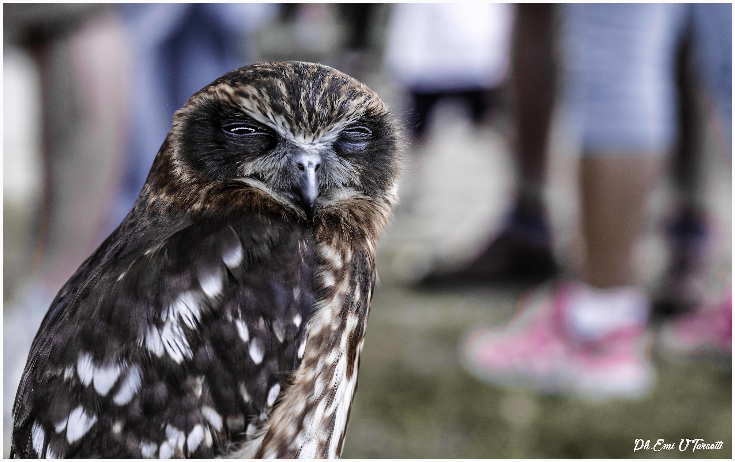 Maledetto fotografo....!