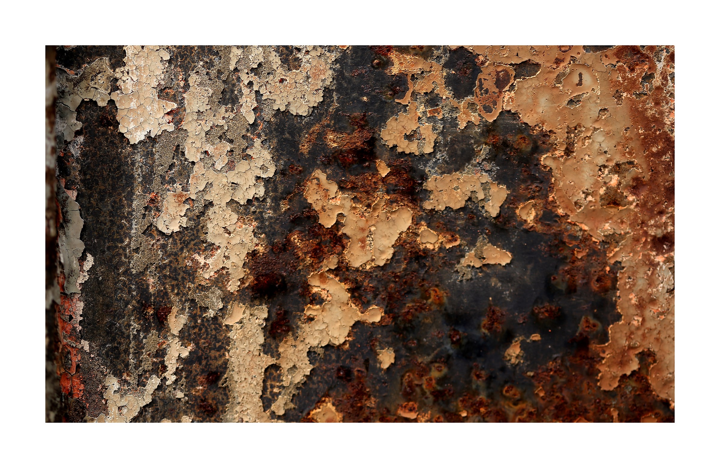 The abandonment and its colors