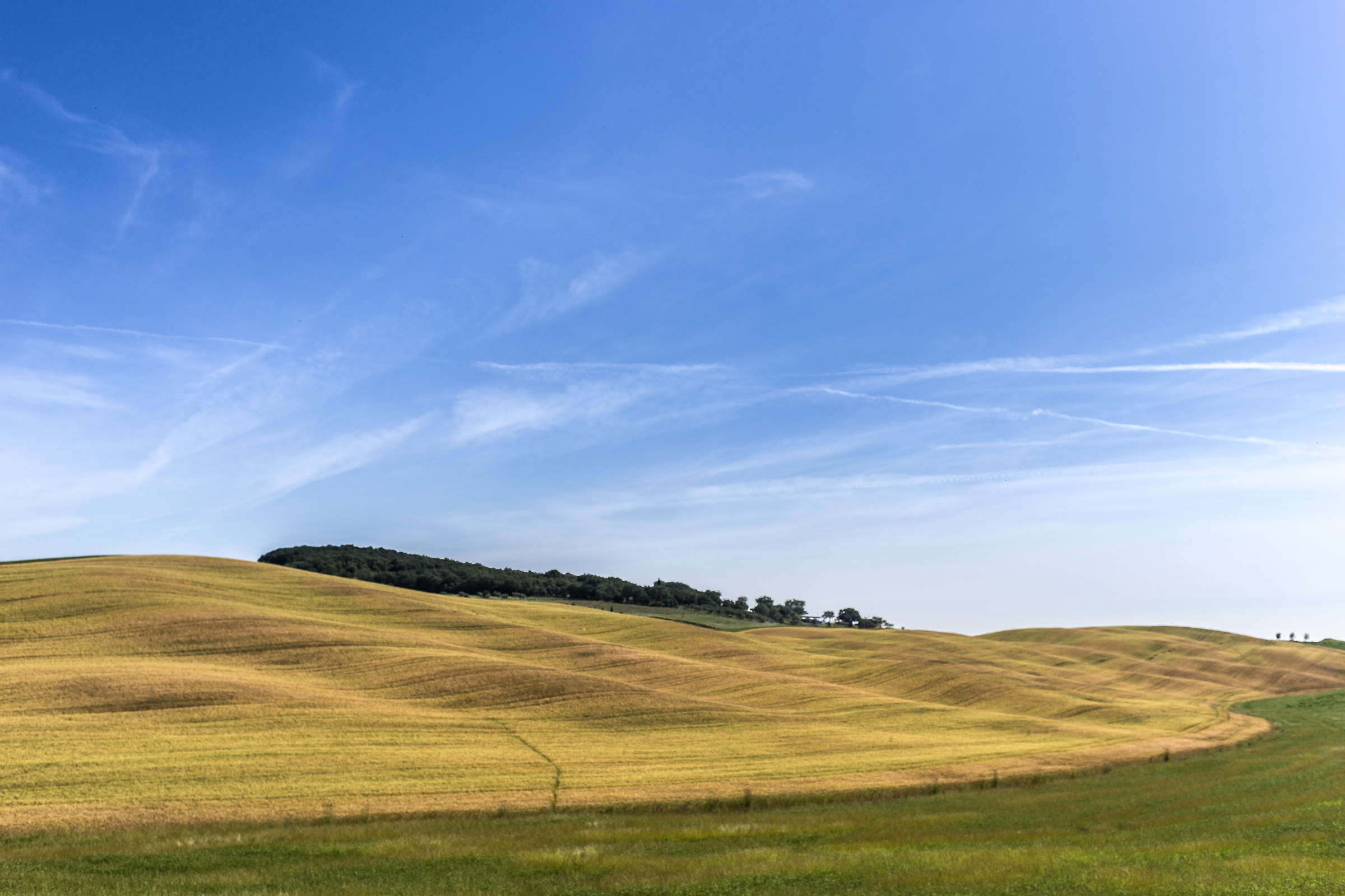 Val d'orcia in June