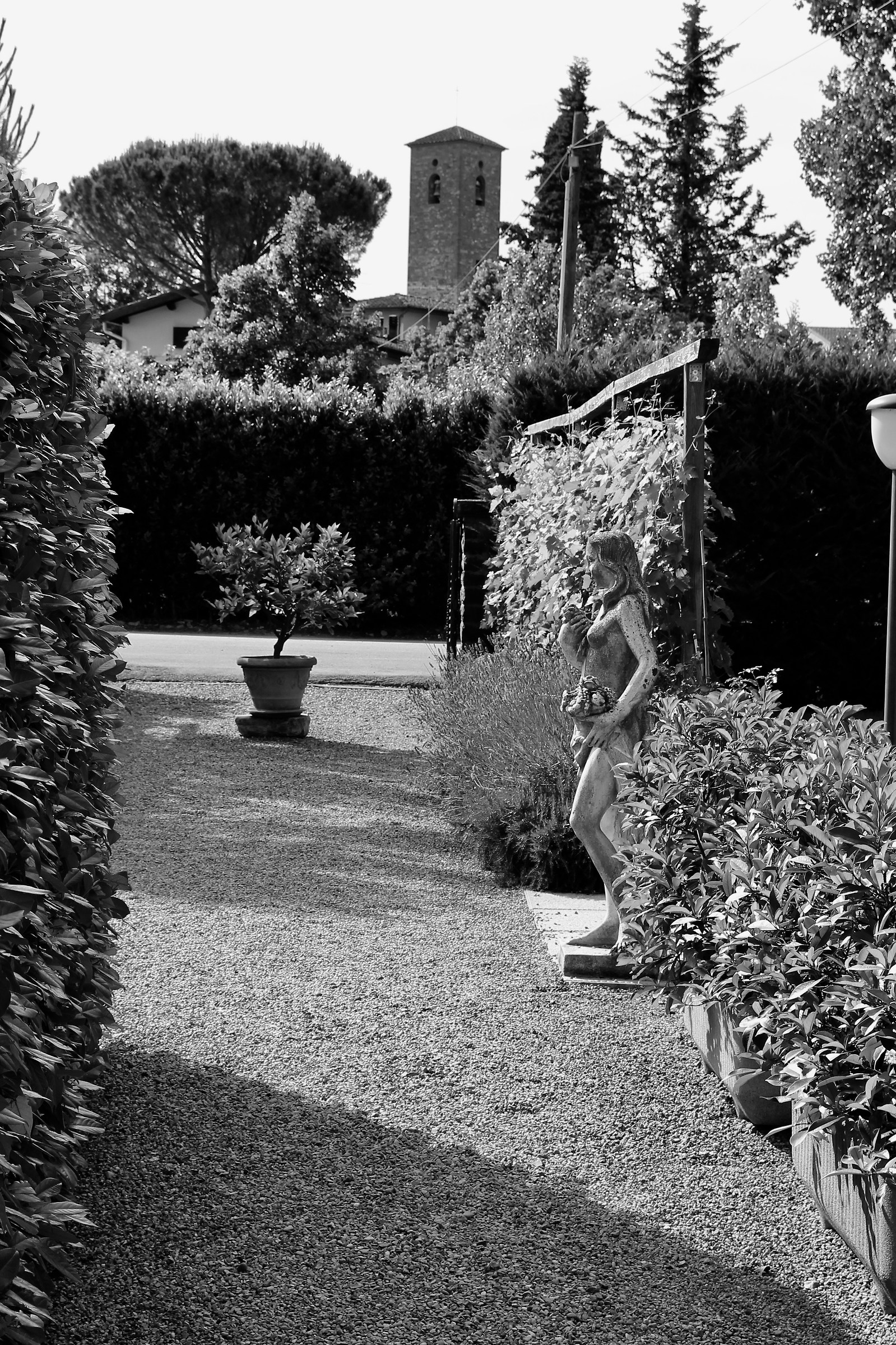 Giardino in bianco e nero