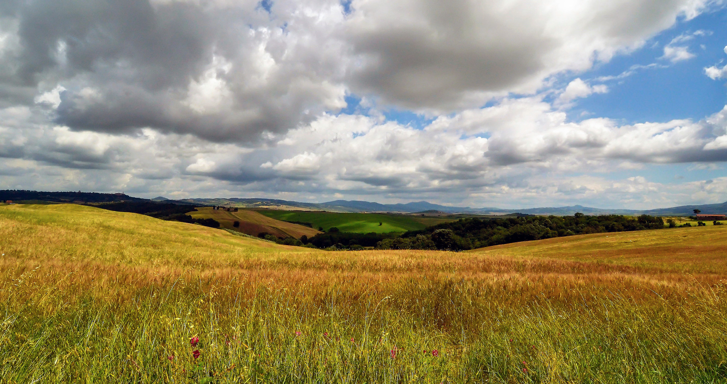 ... Ray of sunshine Lights Lonely Tree