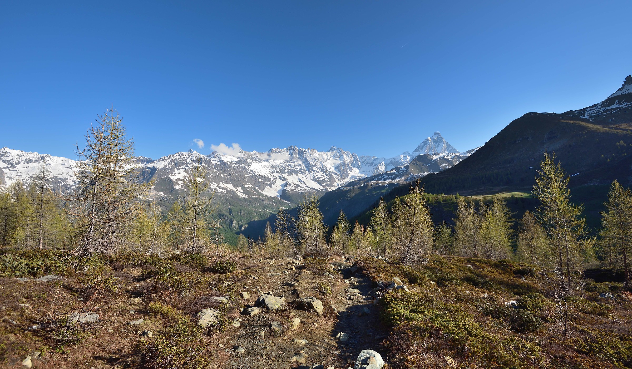 It starts to rise and the show increases