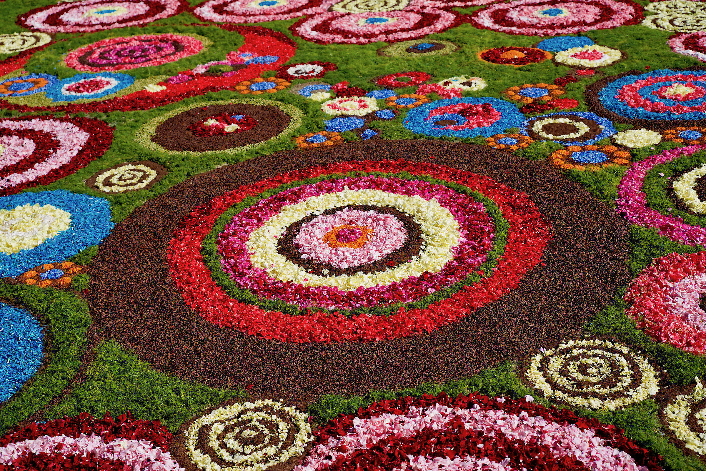 infiorata 2018 (Genzano di Roma)