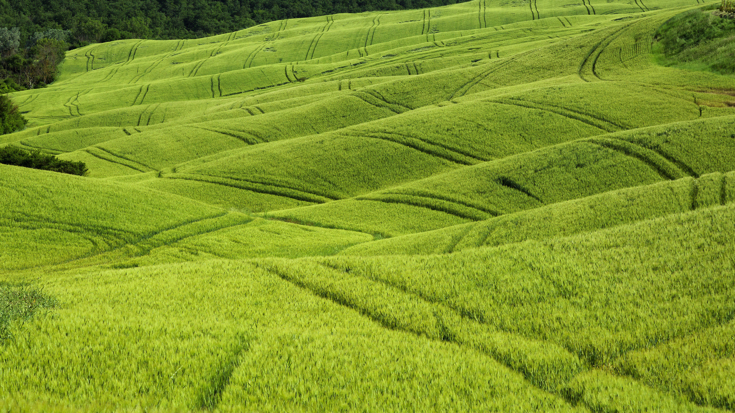 I campi della Val D'Orcia