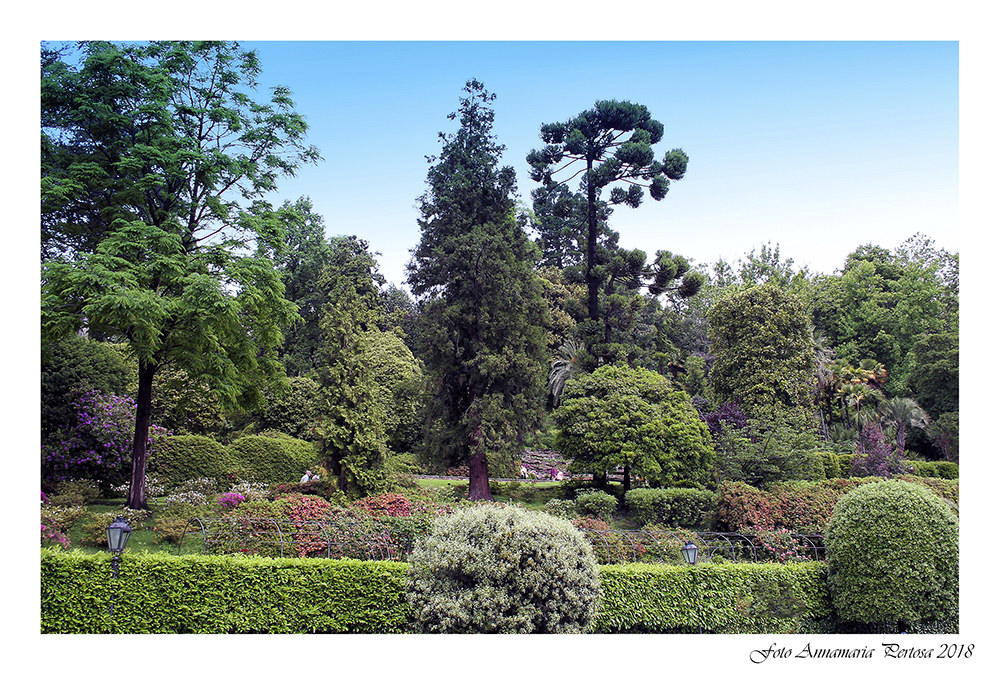 The Museum of Villa Carlotta