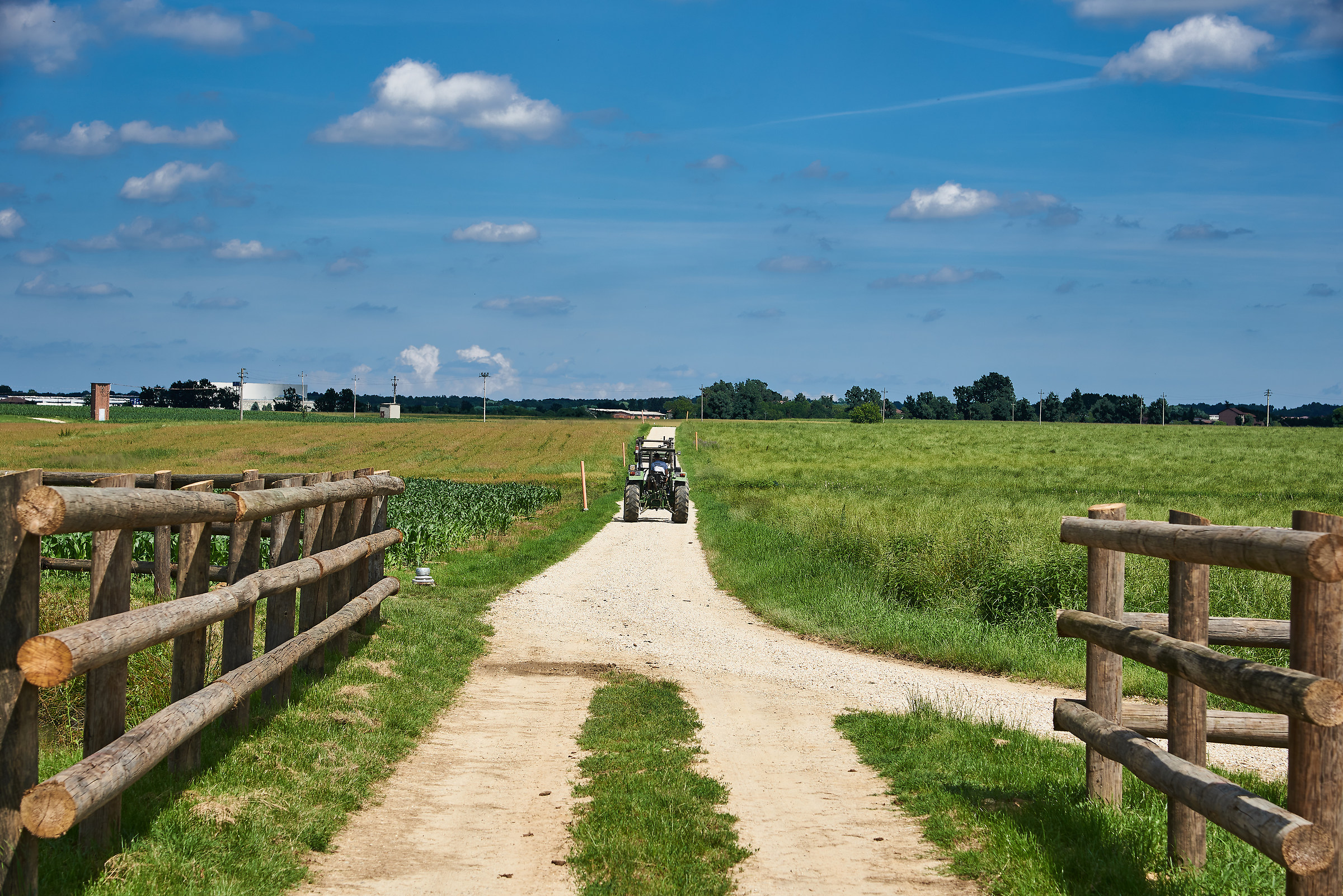 Campagna vicino Carmagnola