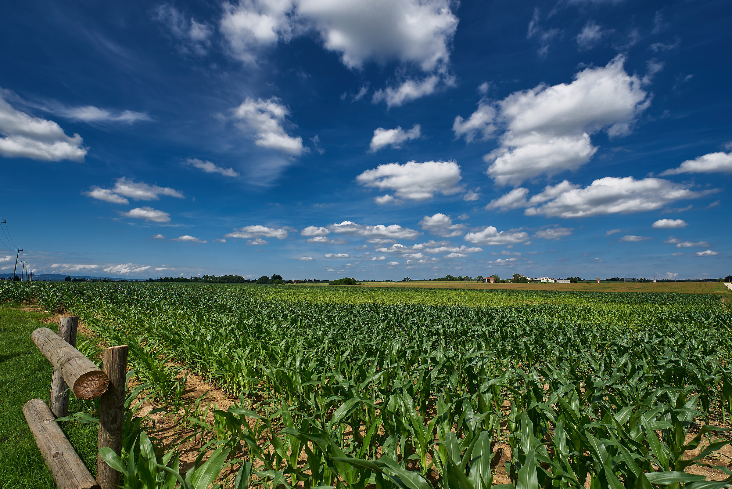 Campagna vicino Carmagnola