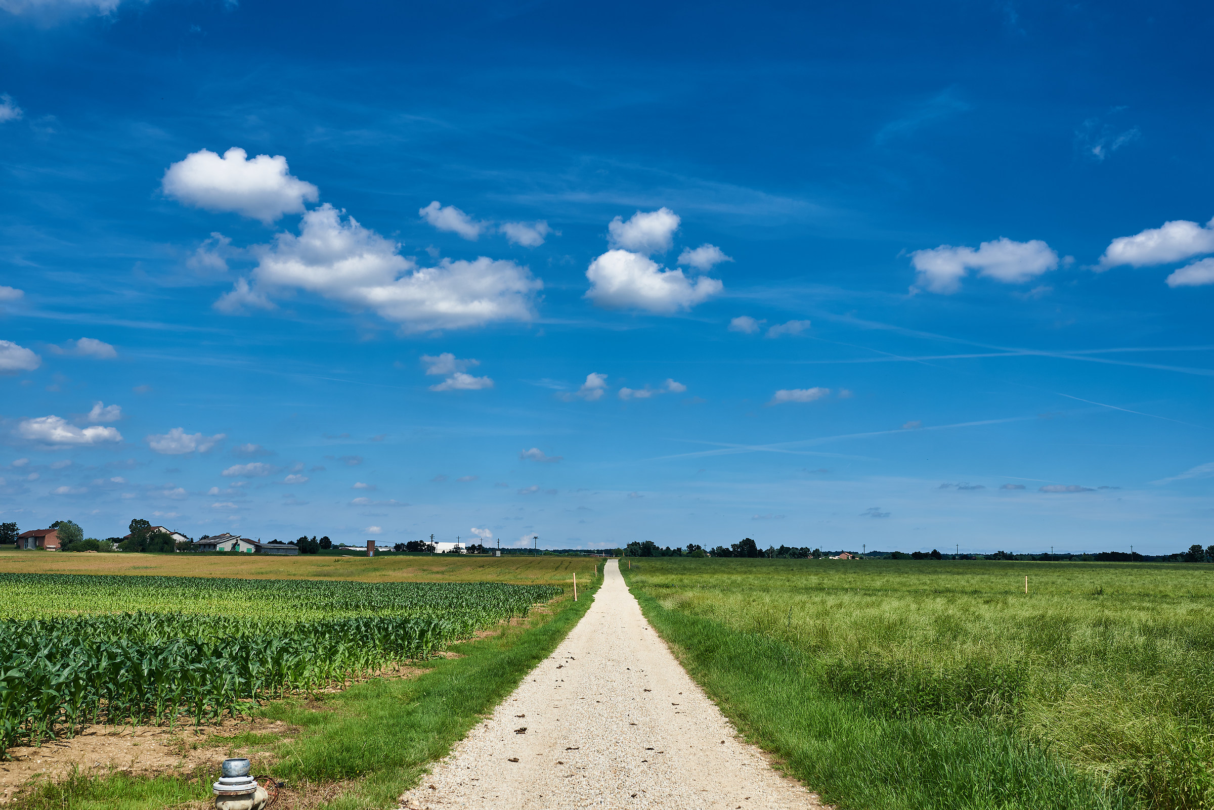 Campagna vicino Carmagnola