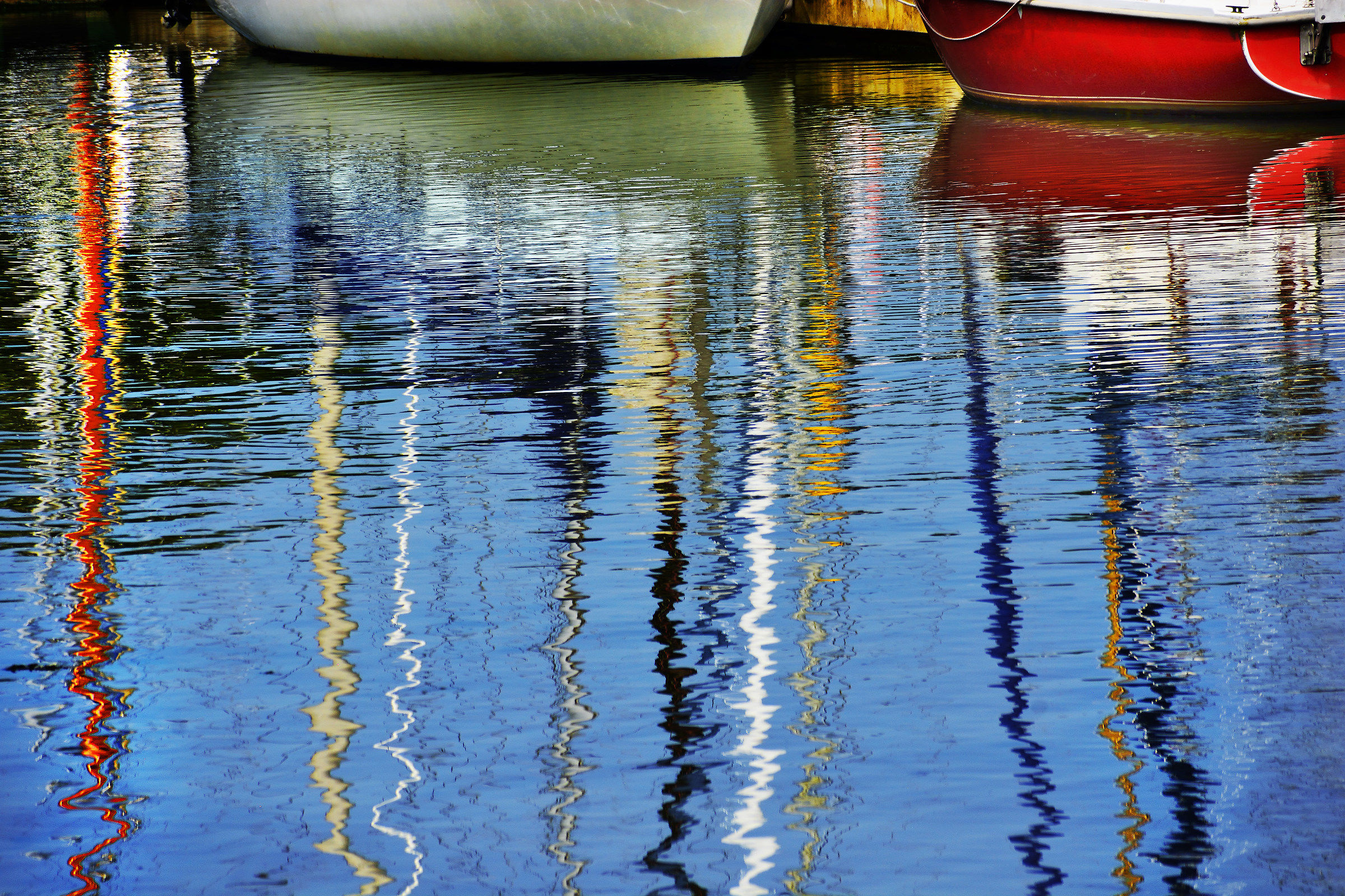 Riflesso dell'albero fremente, fiume Hamble