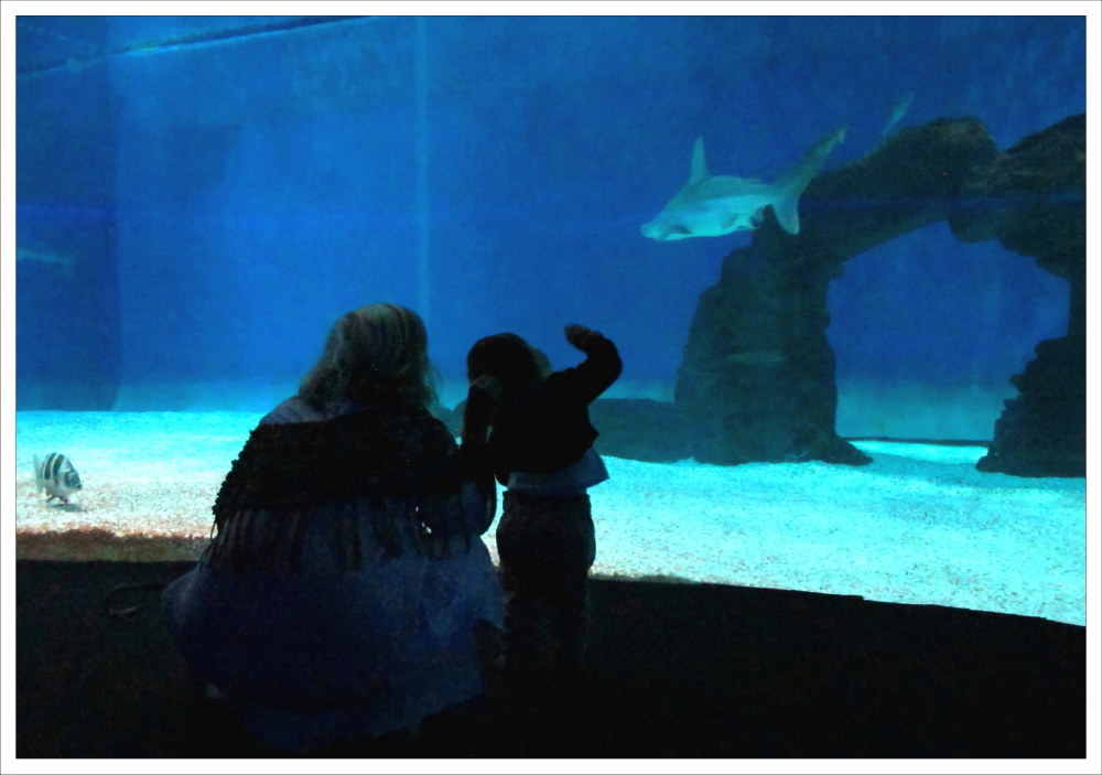 Moments of Ammirazione_2