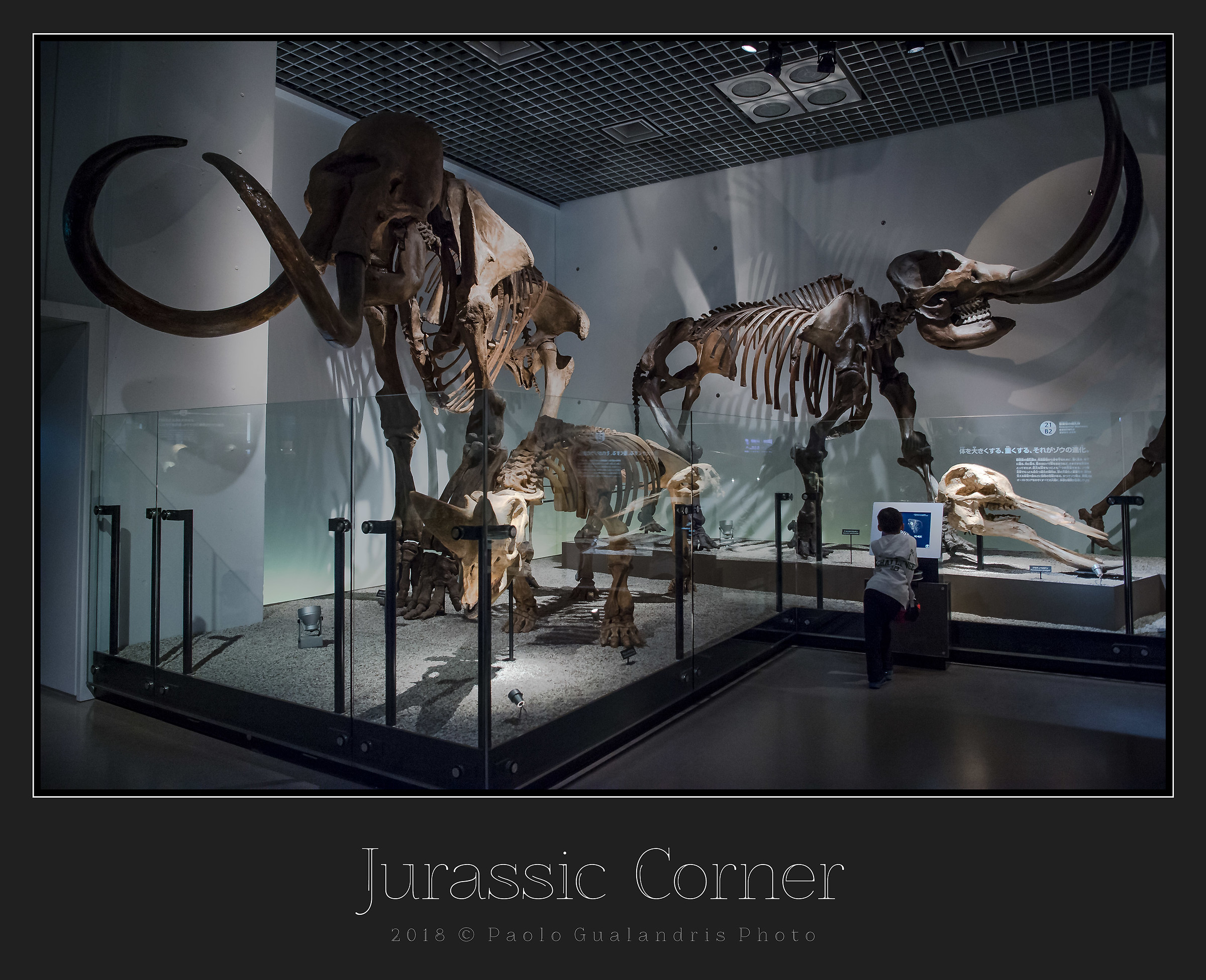 Jurassic Corner