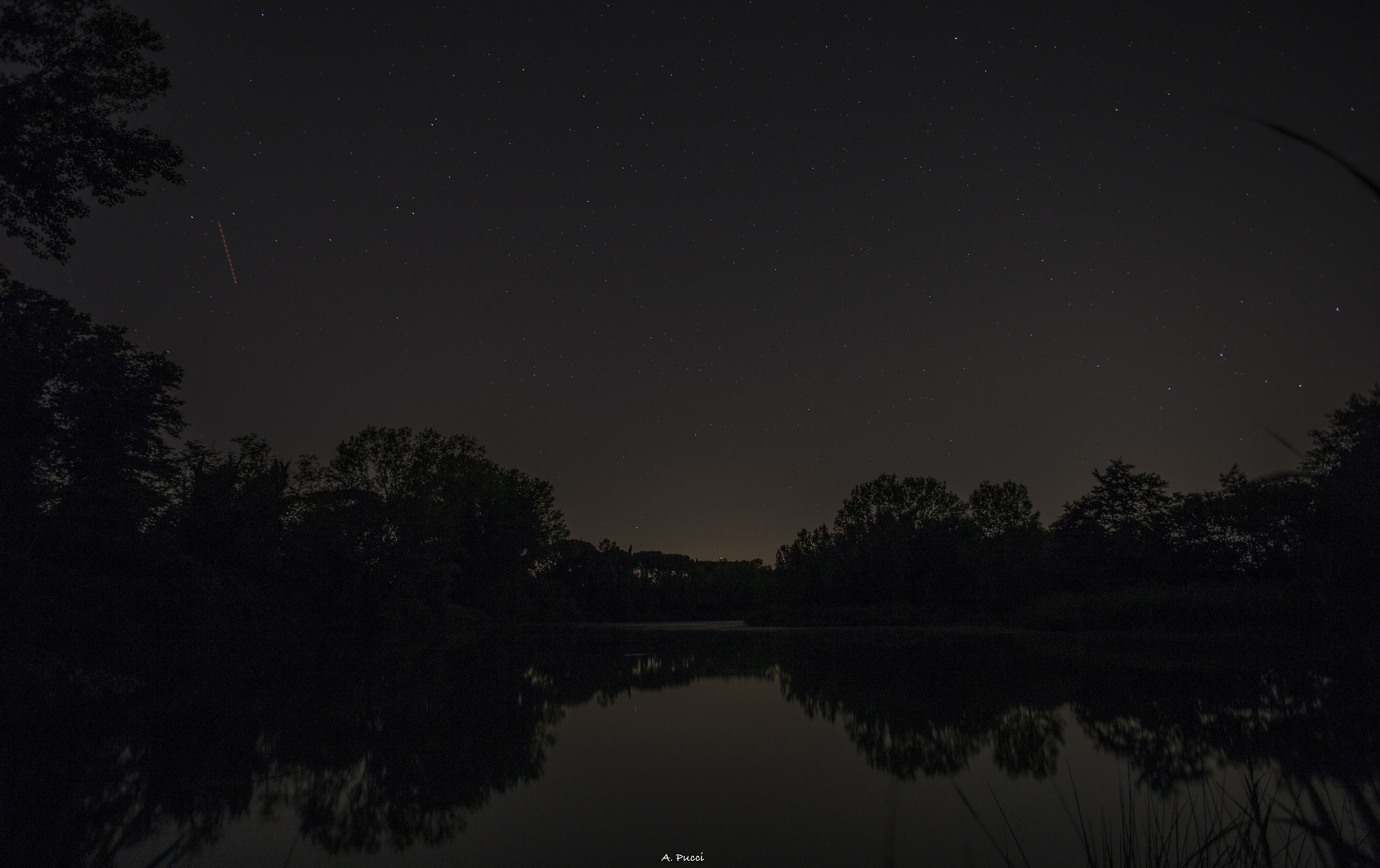 Night Pond